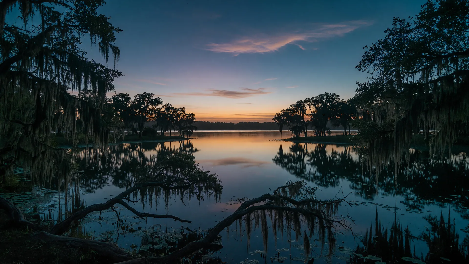 Live oak trees along a calm Florida lake at dusk