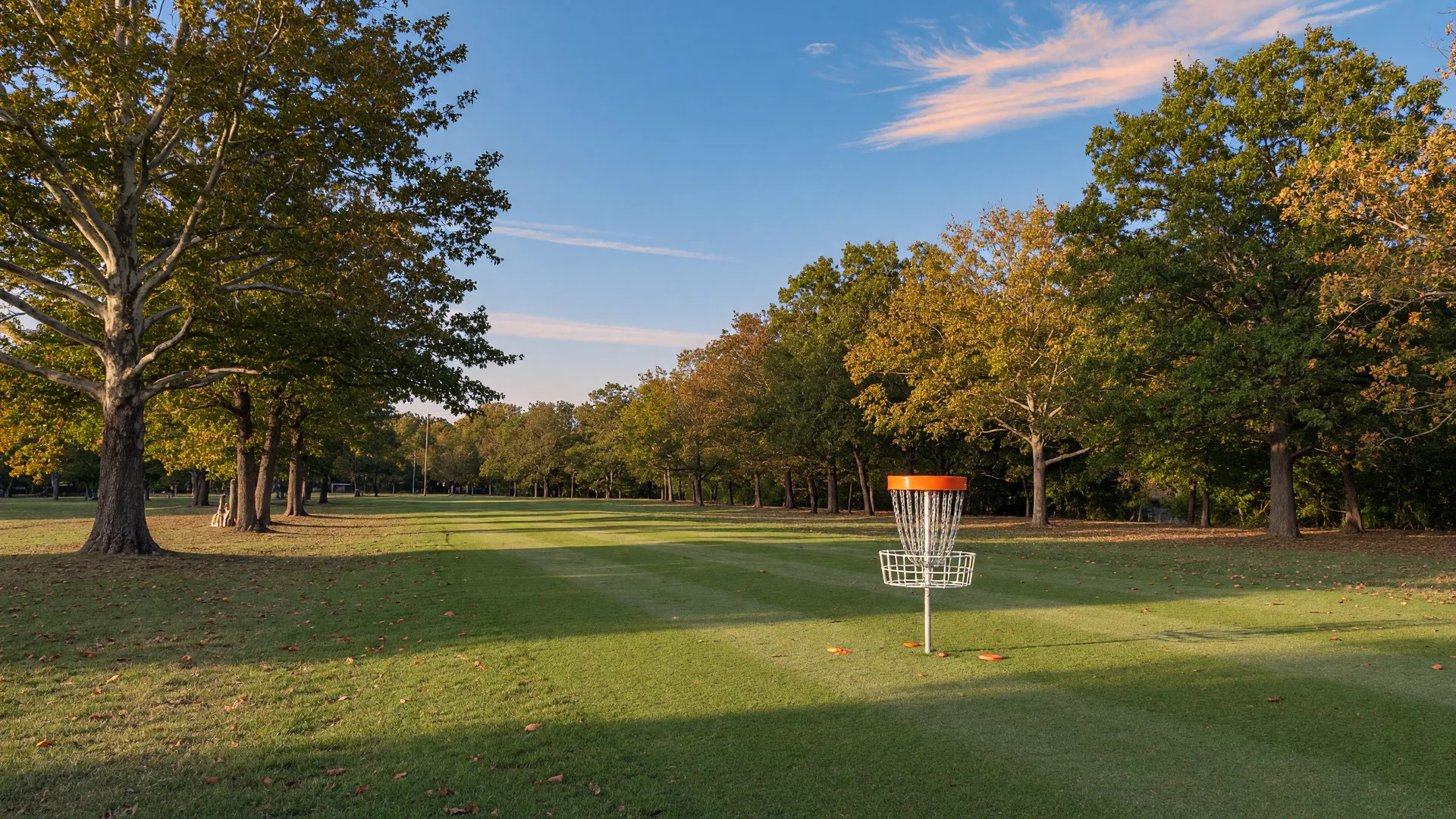 A disc golf basket standing on a freshly mown fairway in a Tulsa park in early autumn, with oaks and sycamores showing the first gold fall color under warm afternoon light