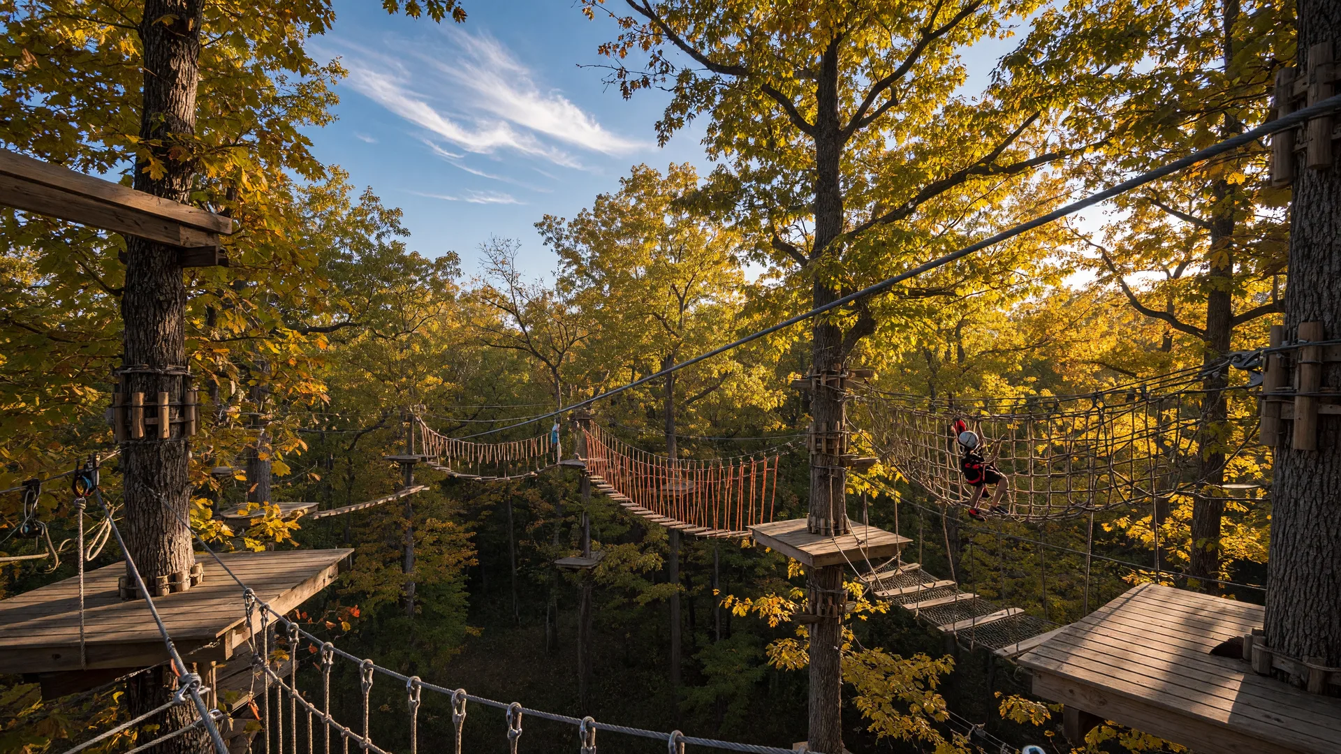 Weekly Family Day Trip: The Adventure Park at Sandy Spring