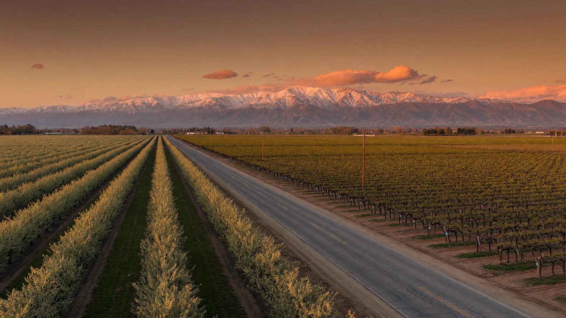 Farmland and orchards of California's Central Valley toward the Sierra Nevada at golden hour