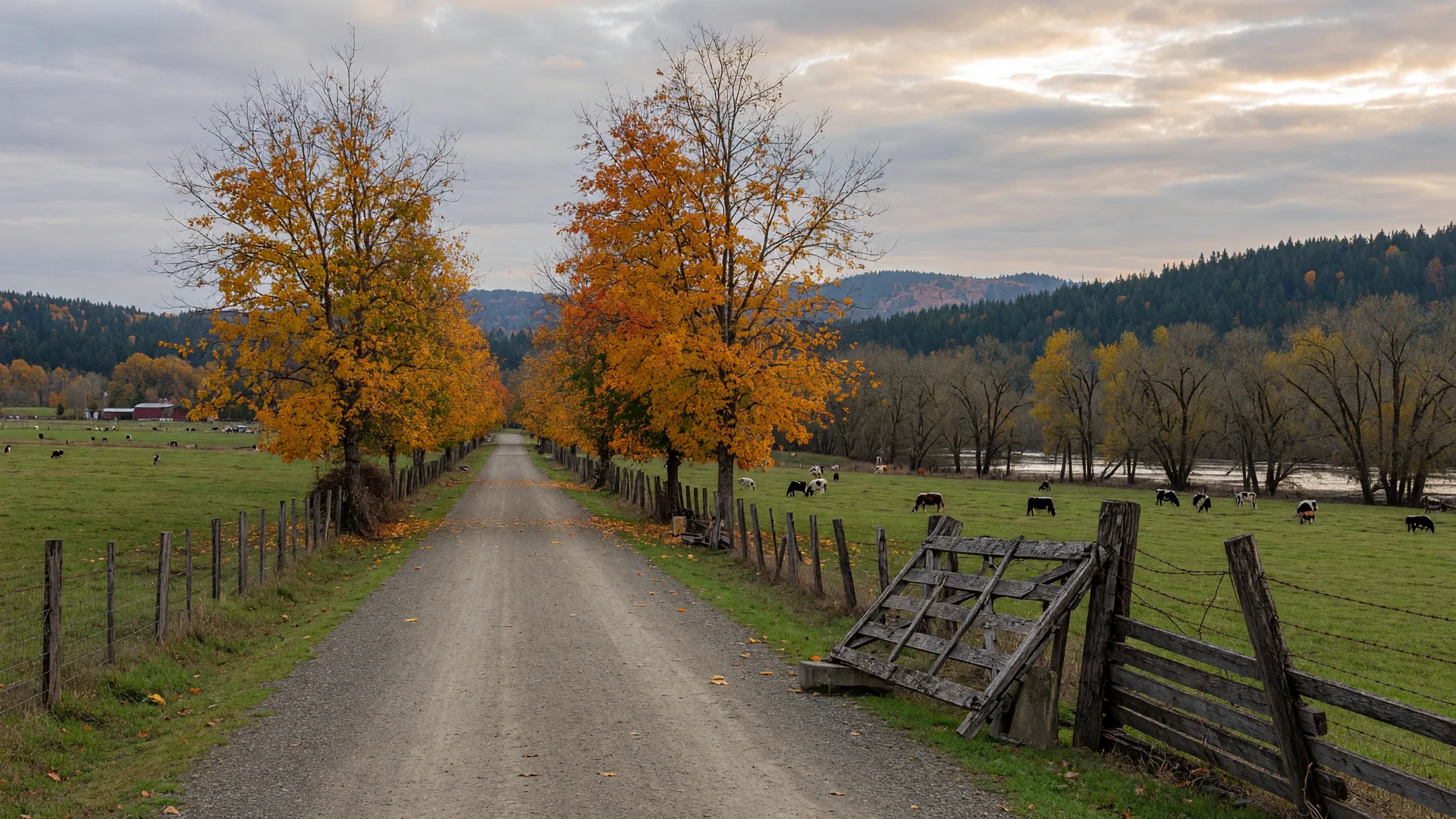 Willapa Hills Trail: Lewis County’s flat, year-round rail trail from Chehalis to Pe Ell