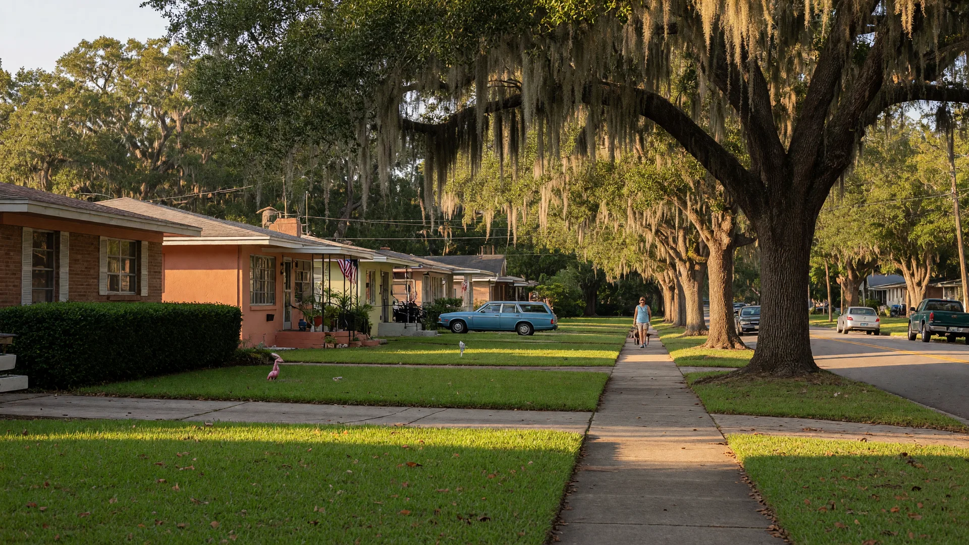 Tree-lined residential street in Jacksonville, Florida