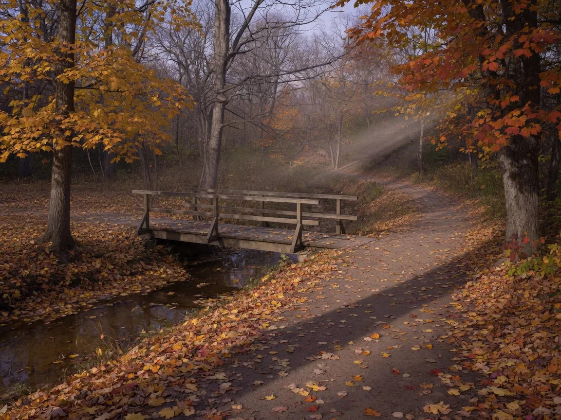 Quiet late-October woodland trail carpeted with golden and orange leaves crossing a small wooden footbridge in a southern Ontario conservation area