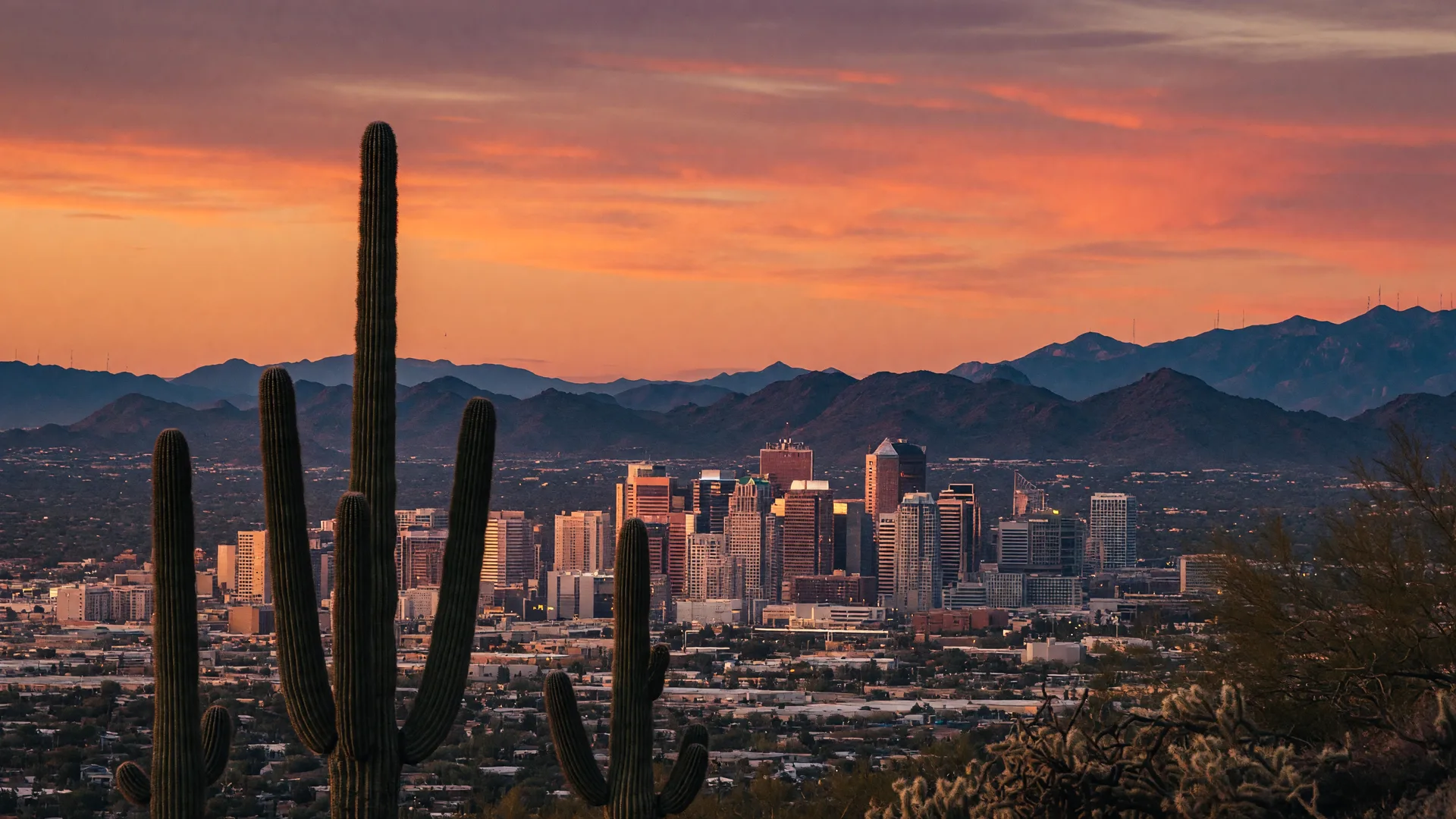 Phoenix Market Update Mid-August 2026: Events, Trends & Fall Preview