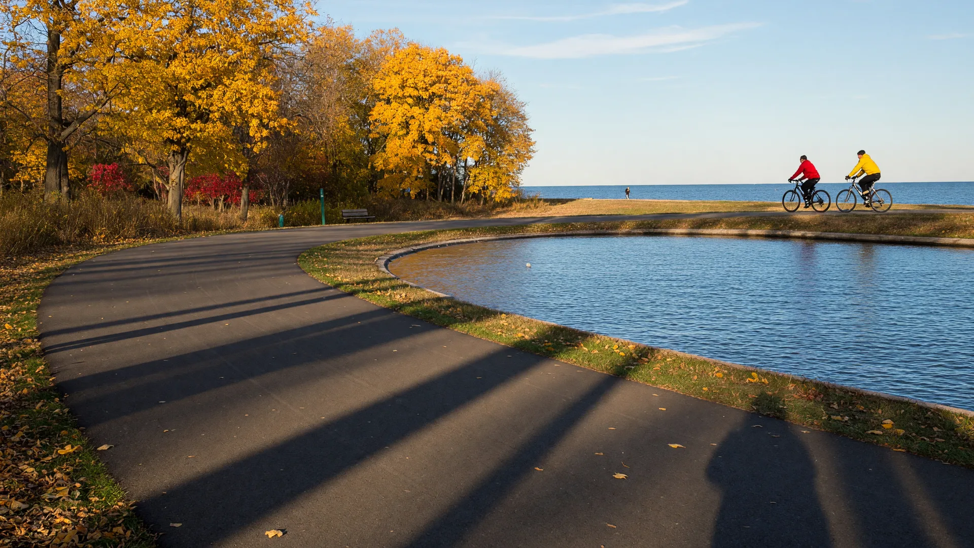 A paved multi-use lakefront trail along Lake Erie in autumn with golden trees and a few cyclists