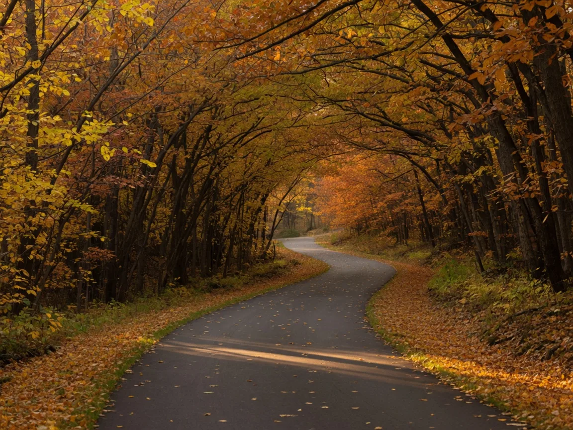 A paved greenway trail winding through a Virginia forest at full fall color, leaves scattered along the path