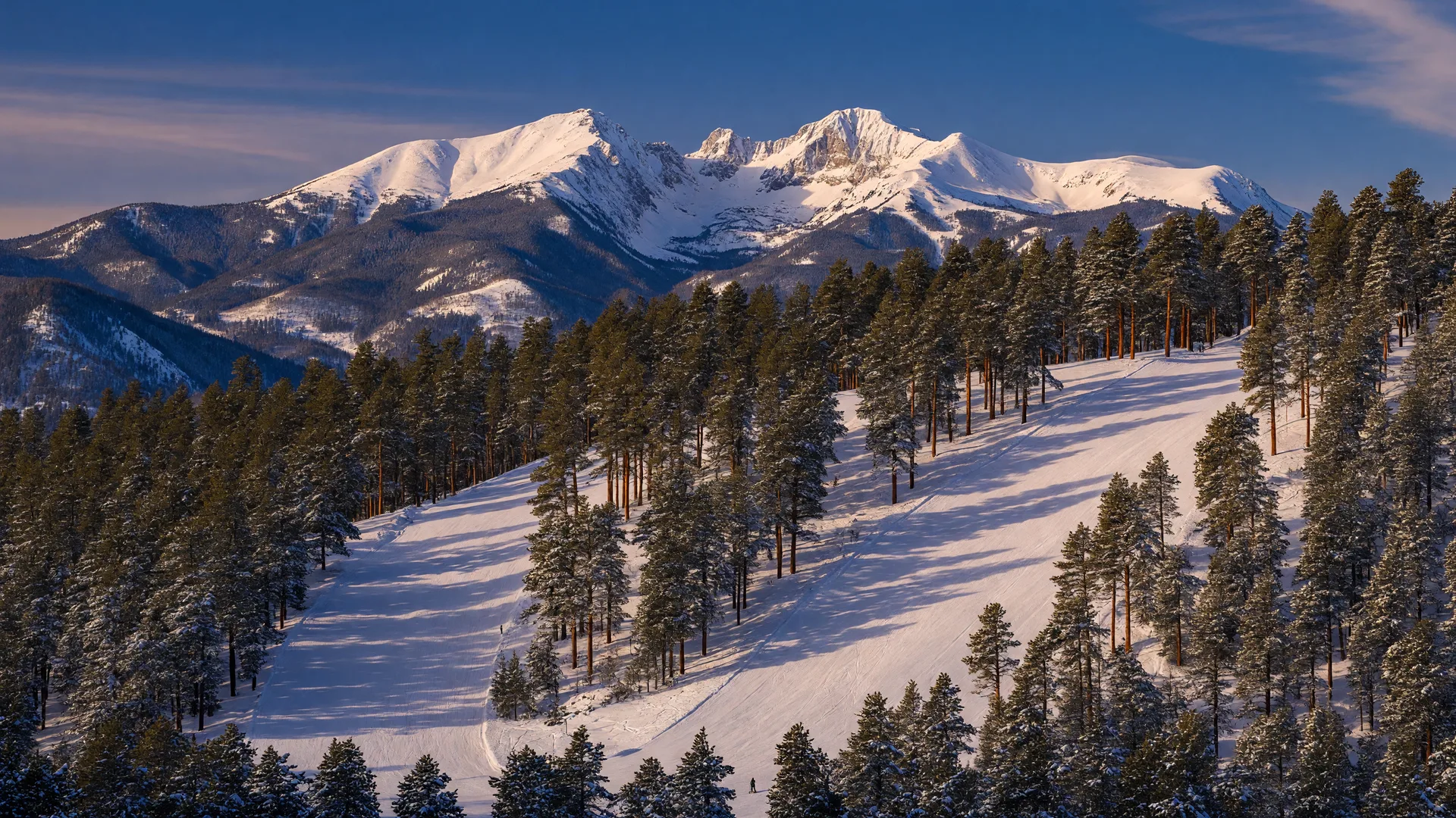 Ski runs between snow-dusted pines under a bright winter sky