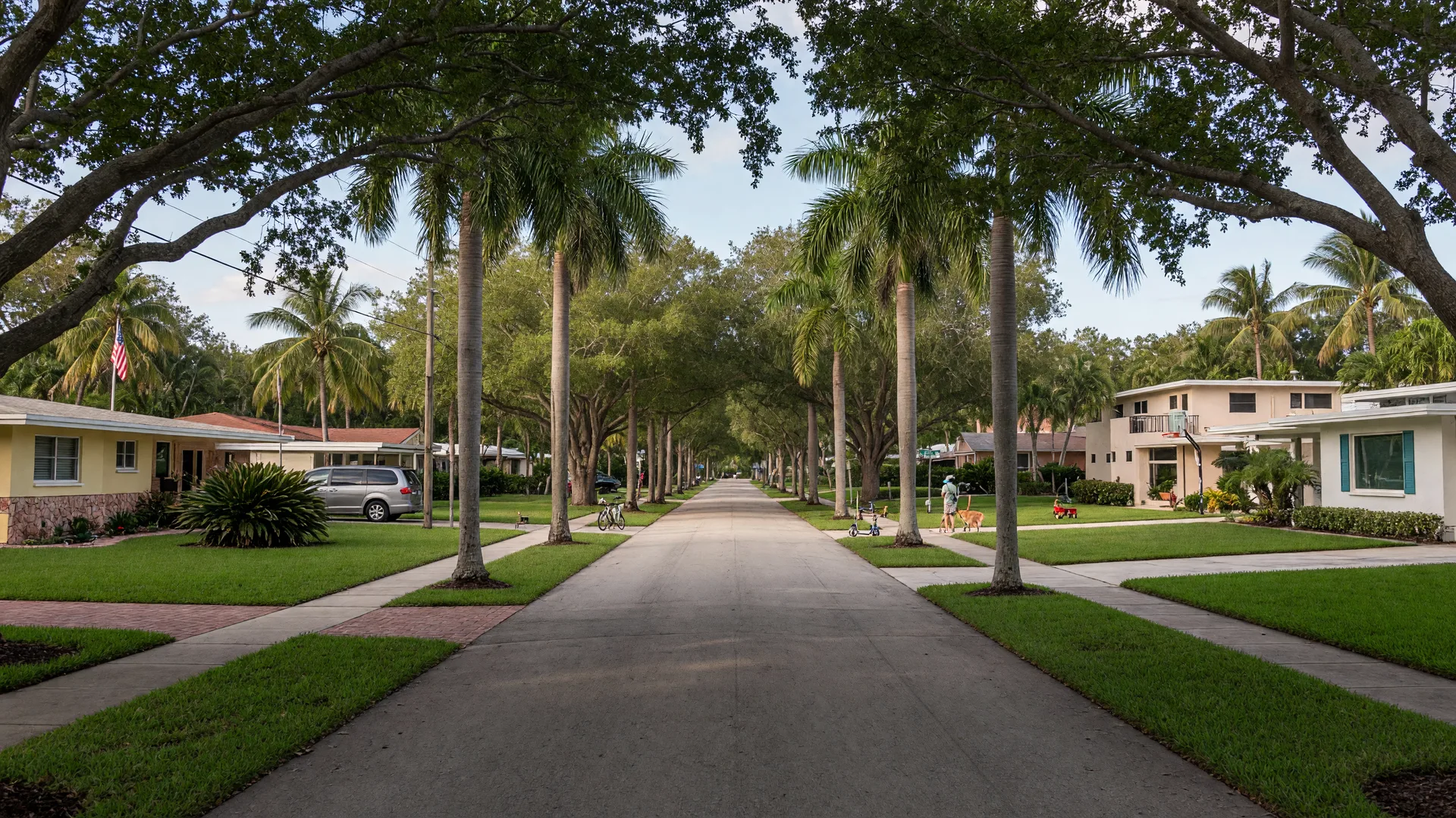 A leafy residential street in Plantation, Florida canopied by oak and palm trees