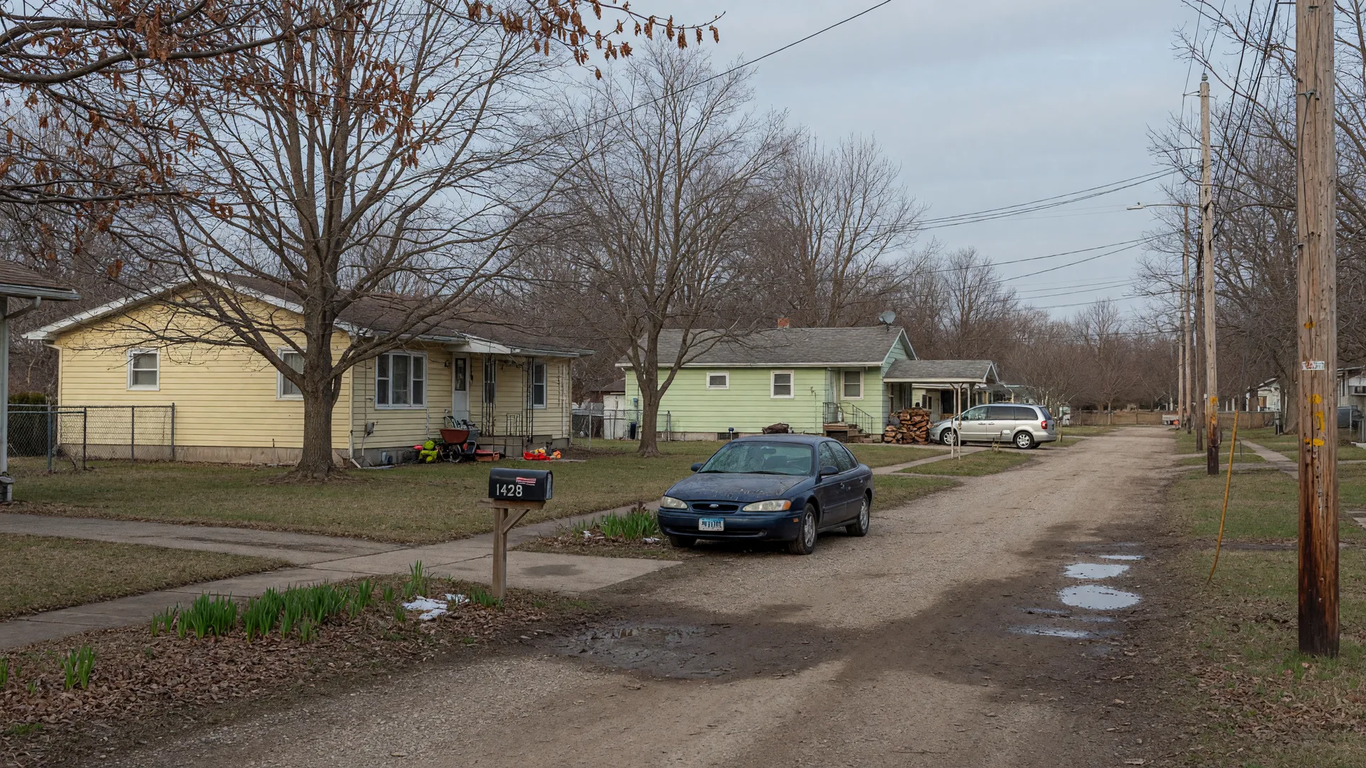 Quiet residential street with older homes, mature trees, and a gravel road in Genesee Township