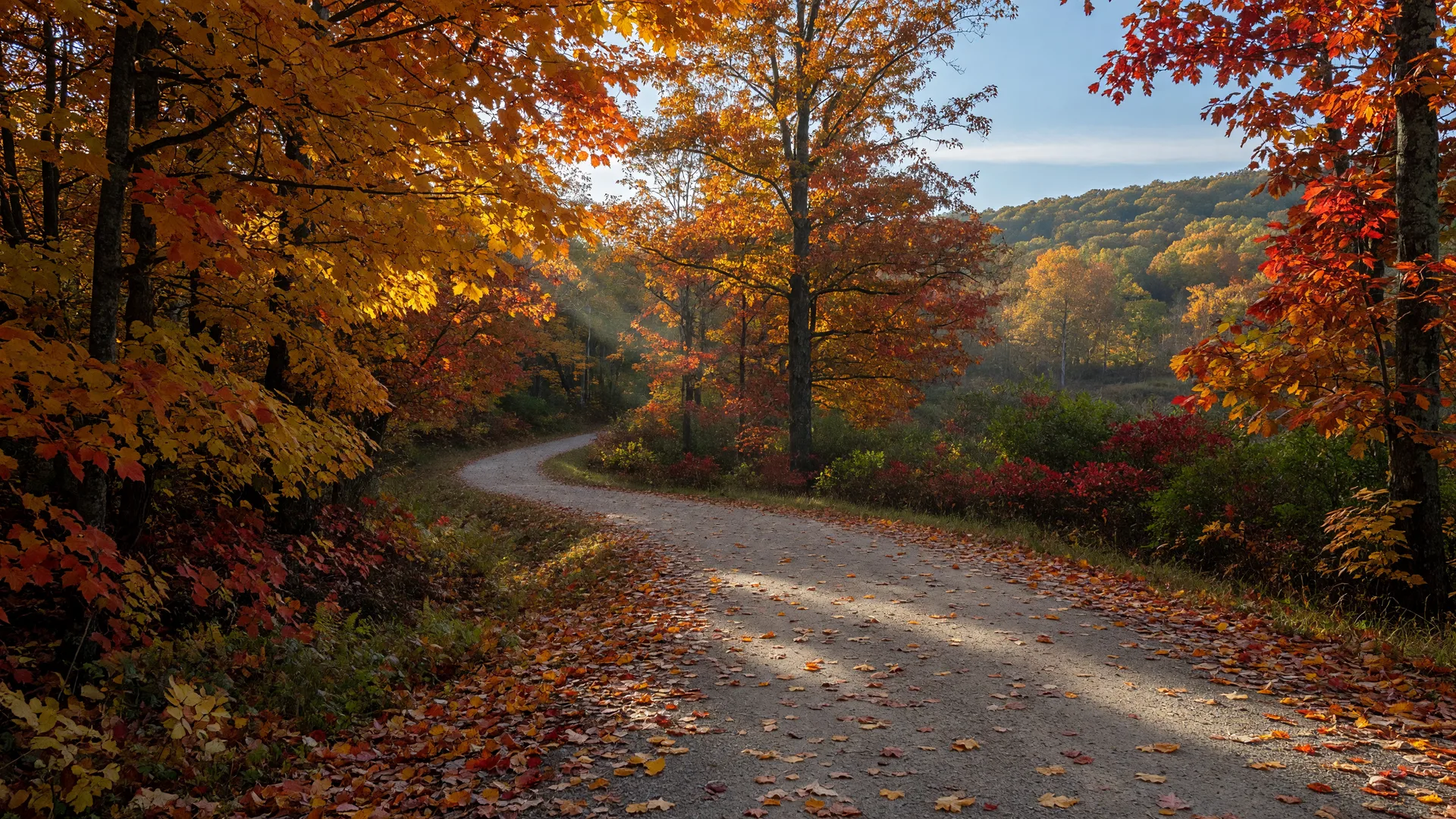 A scenic woodland trail winding through peak autumn color near Essex County New Jersey, leaves in gold and crimson on the path