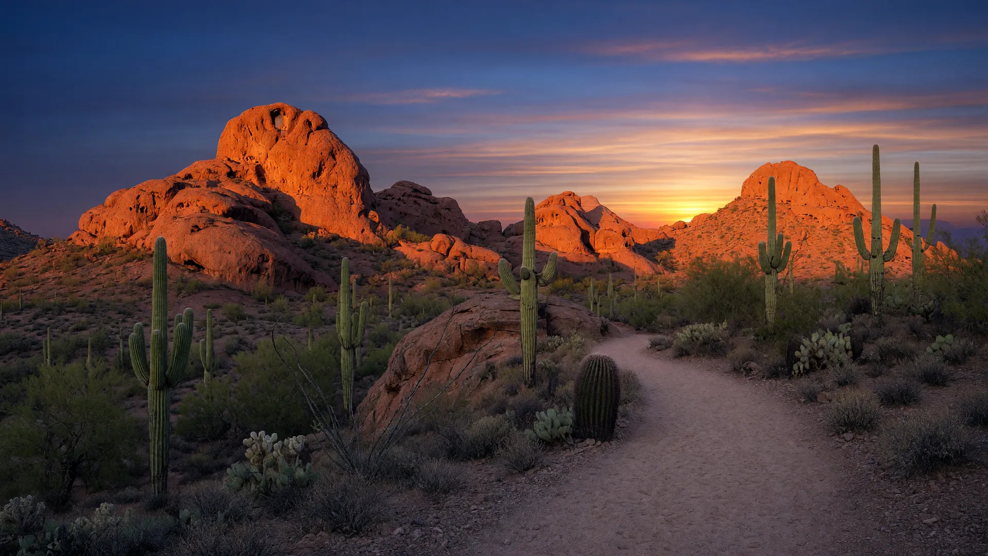 Red sandstone buttes of Papago Park glowing at sunset with a desert trail through saguaros