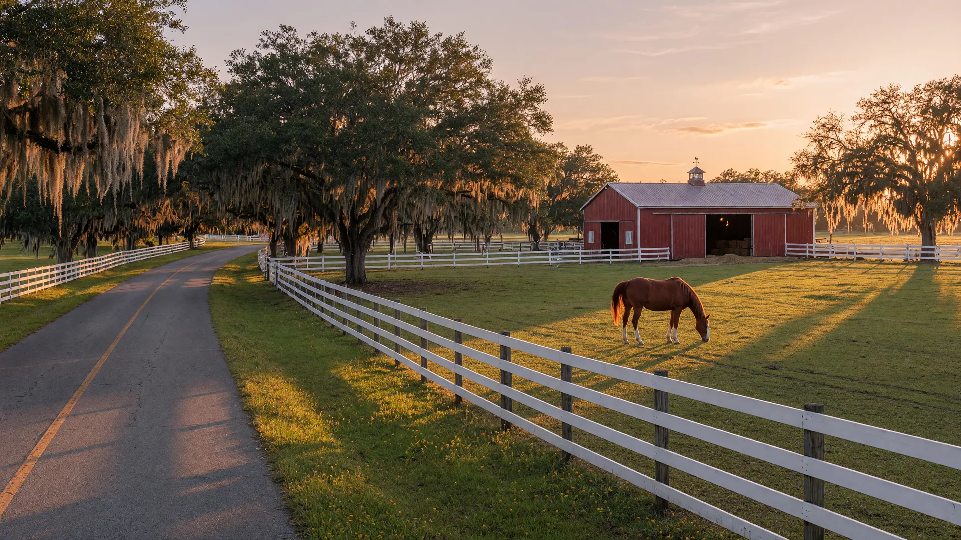 Western Davie horse country with white ranch fencing and live oaks at golden hour