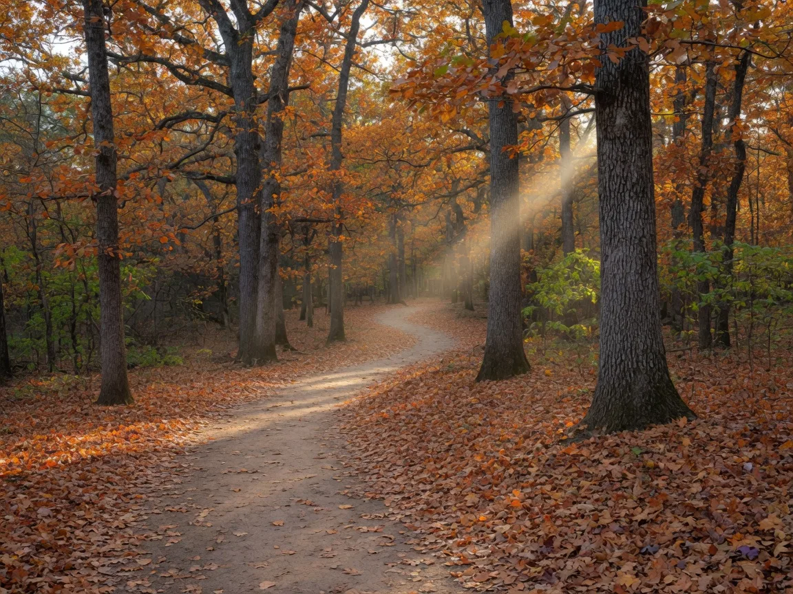 A quiet woodland trail in eastern Oklahoma in mid-autumn, with a dirt path curving between oak and hickory trunks above a carpet of fallen orange and gold leaves