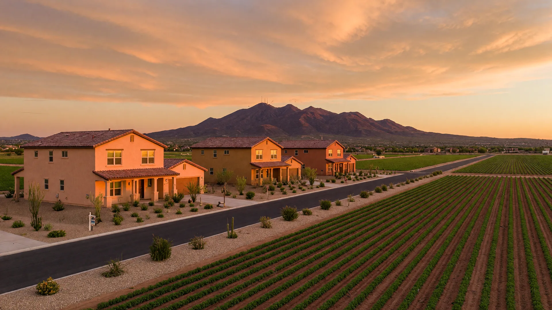 Sunny Laveen neighborhood scenery in the Phoenix metro area