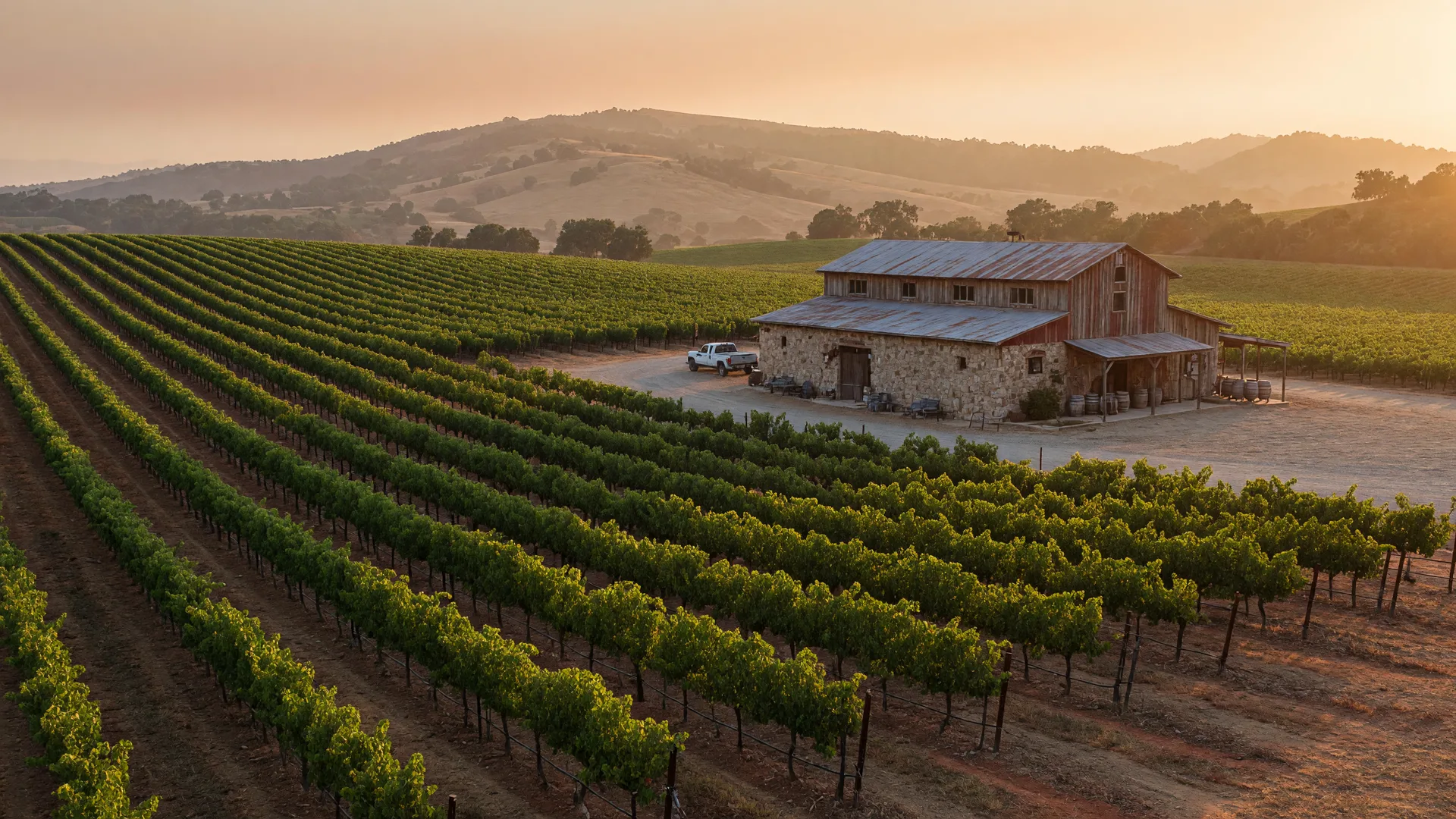 Temecula wine country at golden hour with rolling vineyard rows, a winery building, and hills in the background