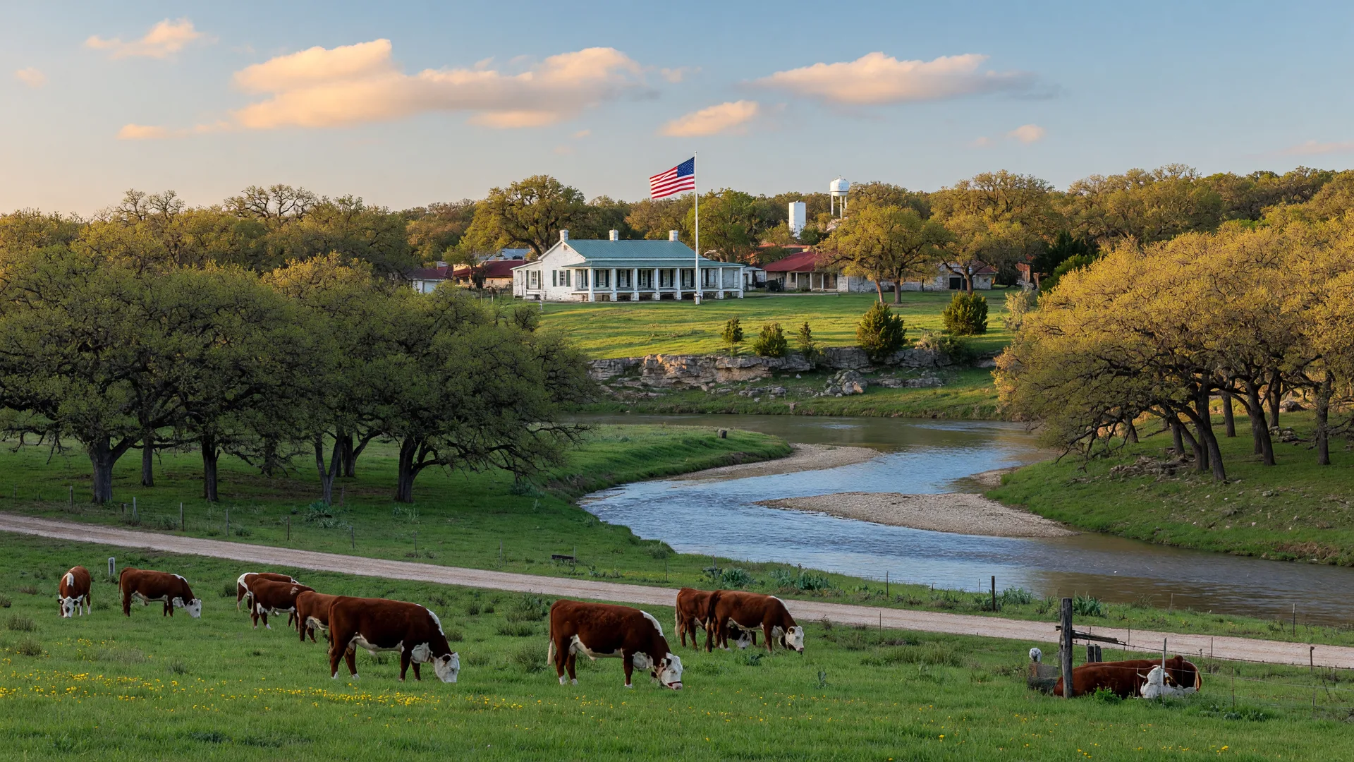 Aerial landscape view of the LBJ Ranch in Stonewall, Texas with the Pedernales River winding through a green valley with live oak trees and Hereford cattle grazing