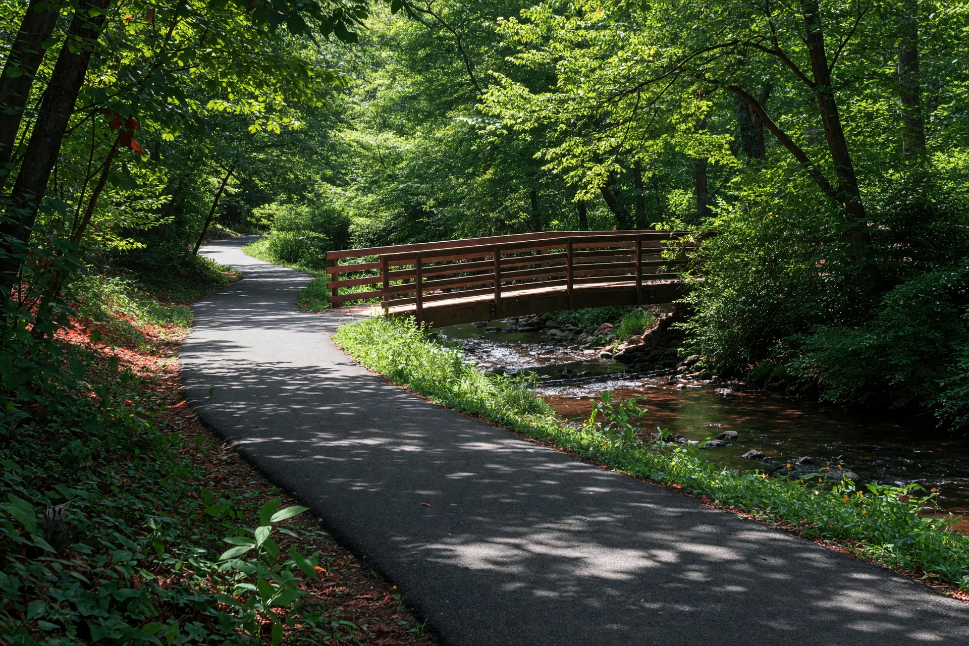 The Sligo Creek Trail path running beside the creek on a bright day