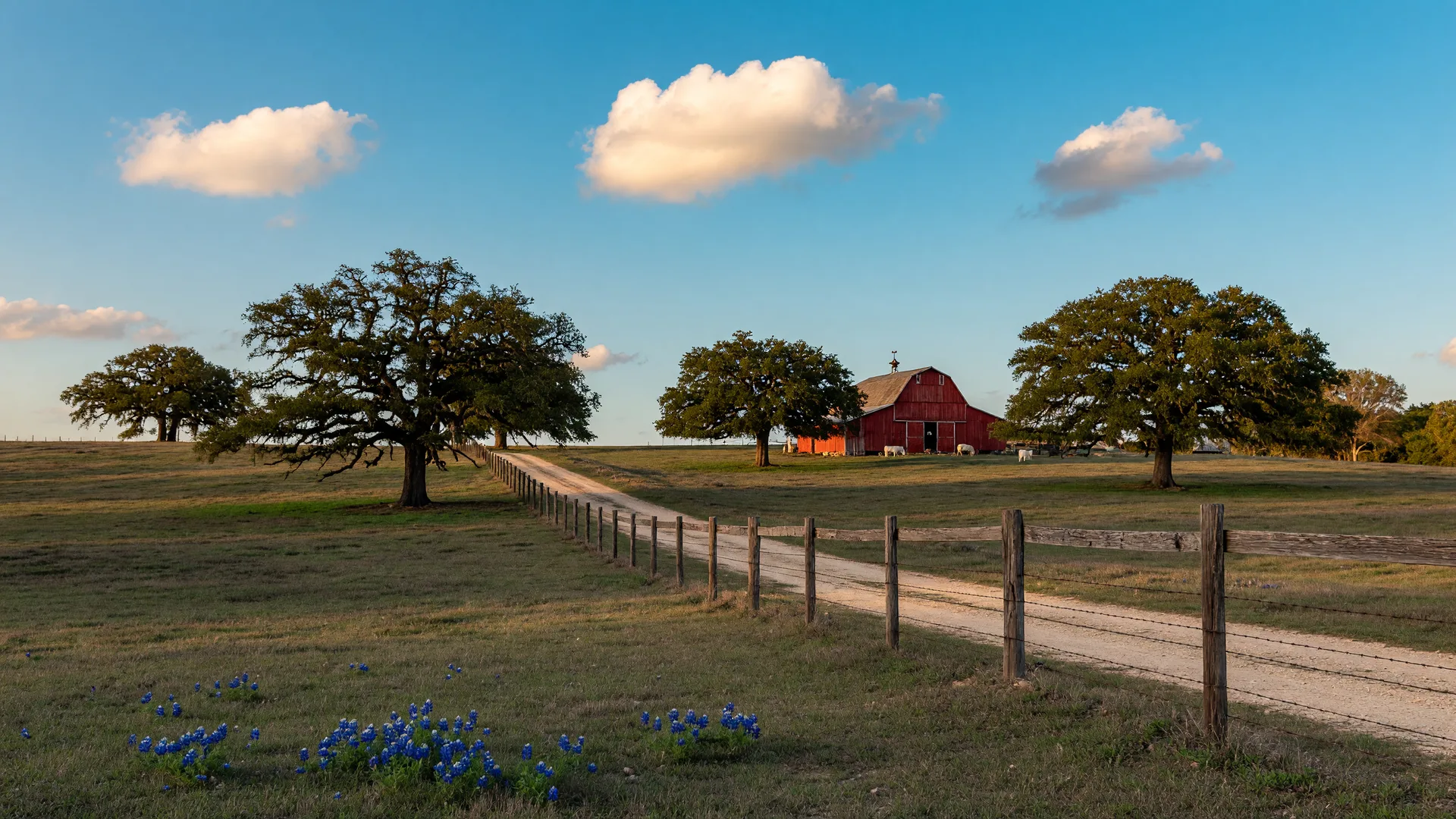 Rolling pasture with live oaks, a wooden fence line, and a red barn under a wide blue sky in Washington County, Texas