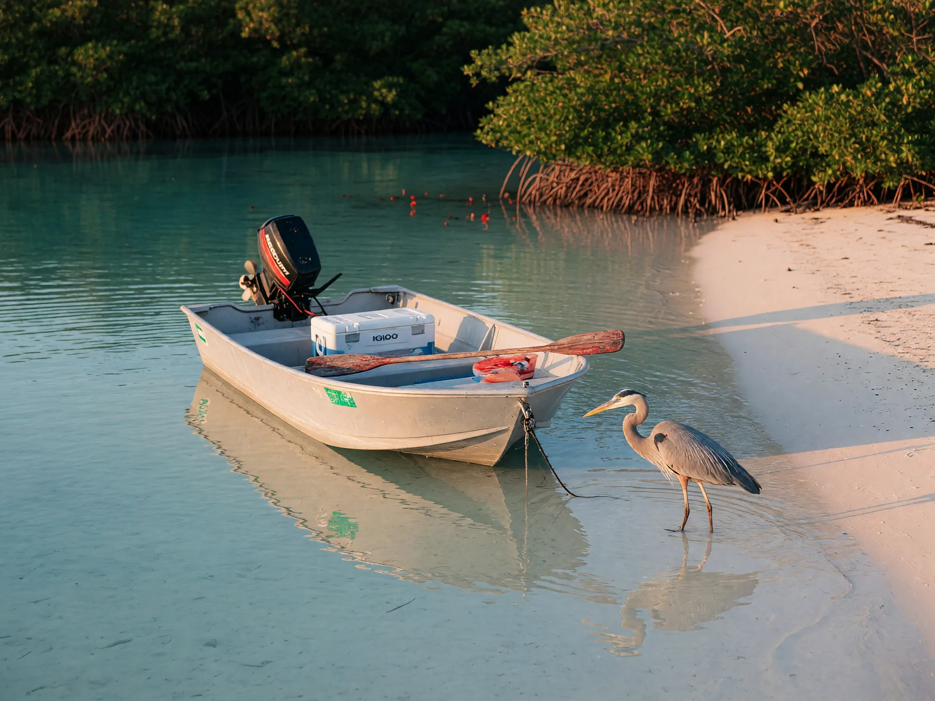 A small family skiff anchored on glass-calm turquoise flats near a mangrove shoreline in the Florida Keys at late afternoon, a cooler and a paddle on the seat, and a wading heron in the shallows