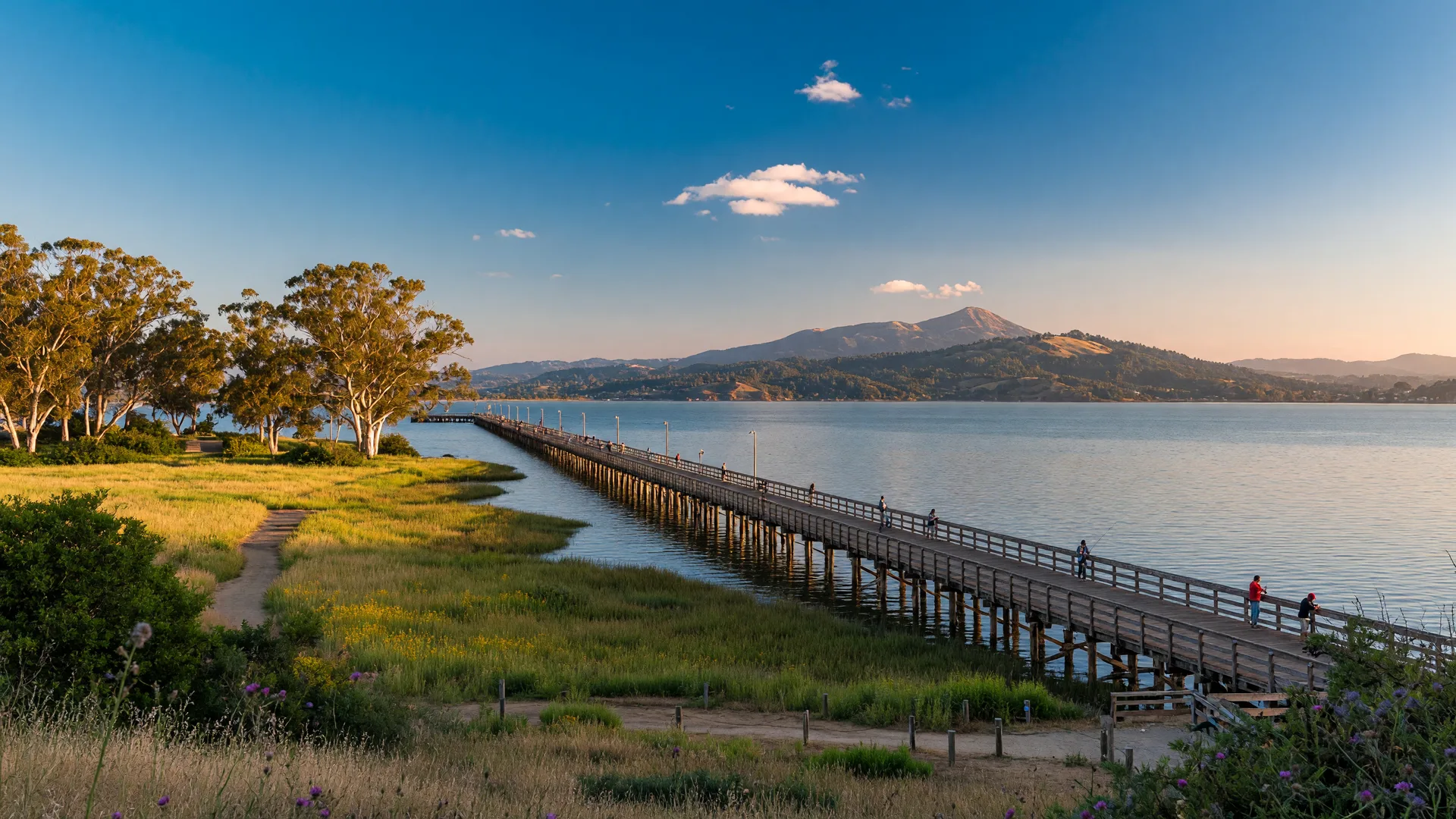 Point Pinole Regional Shoreline: A Hidden Gem in Richmond