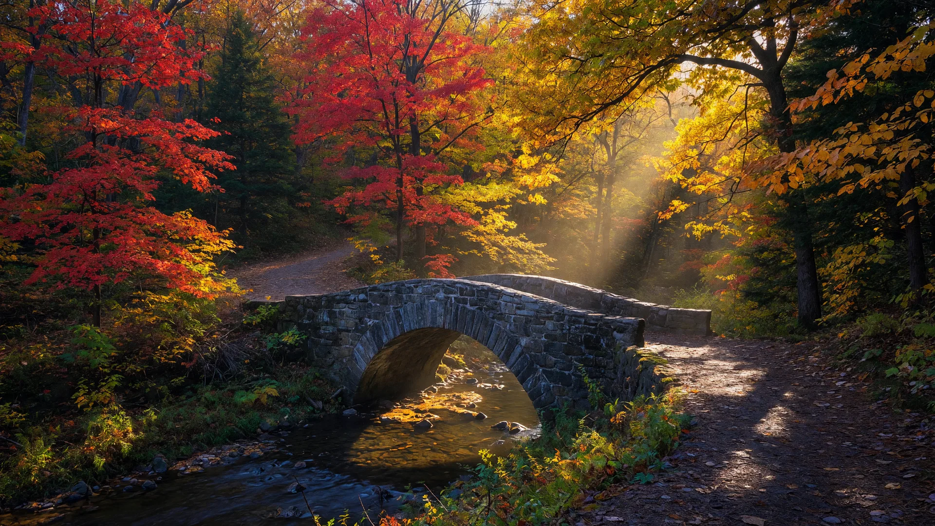 Wissahickon Valley Park trails and creek in Philadelphia