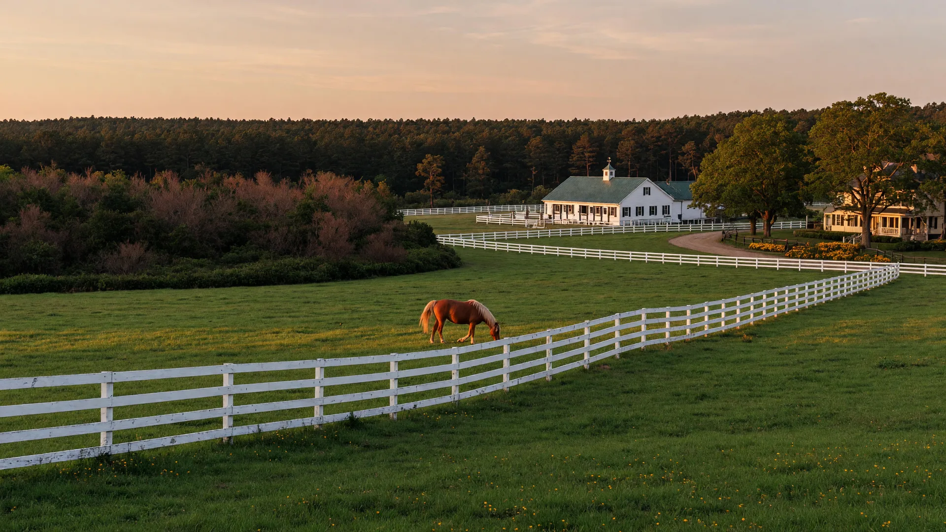 Equestrian estate in Medford NJ with a horse in a pasture and Pine Barrens forest in the background