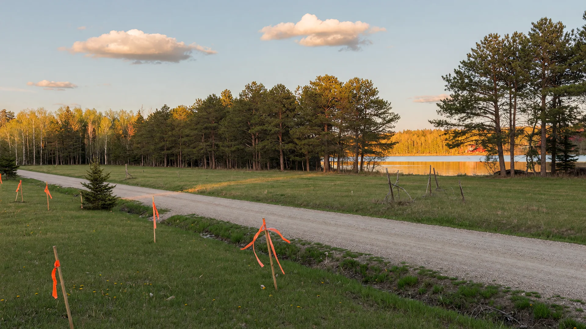 Open developable land with survey stakes at the edge of a northern Minnesota lakeside town in late-afternoon light