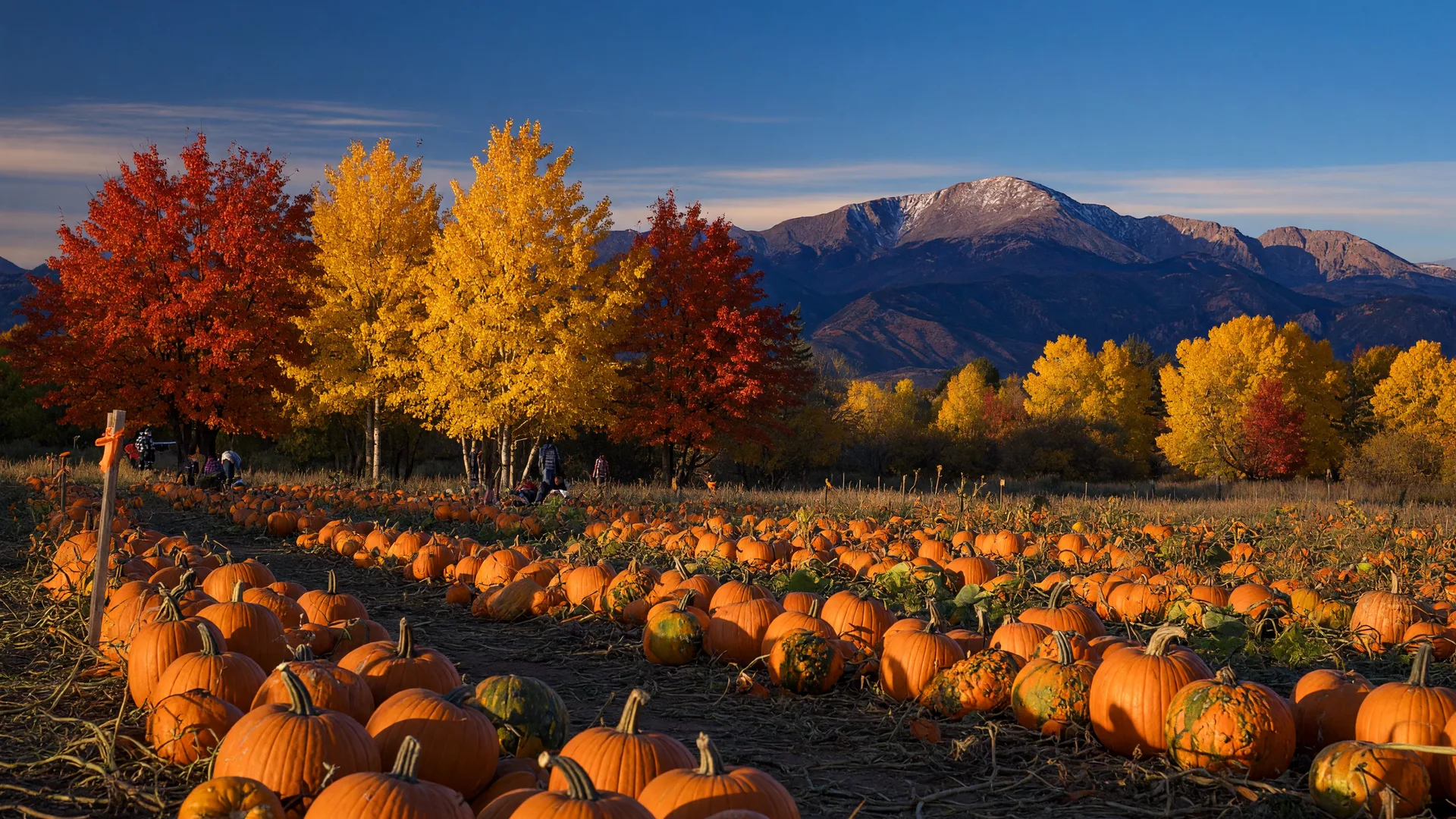 Mid-October 2026: Colorado Springs Fall Events, Community News & Market Update