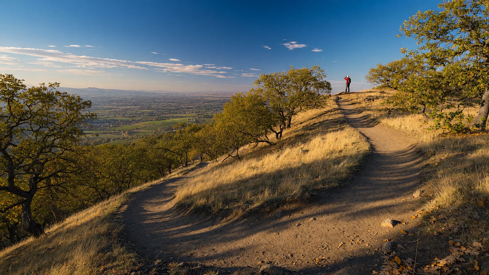A golden fall hiking trail on Roxy Ann Peak with the Rogue Valley spread out below near Medford, Oregon