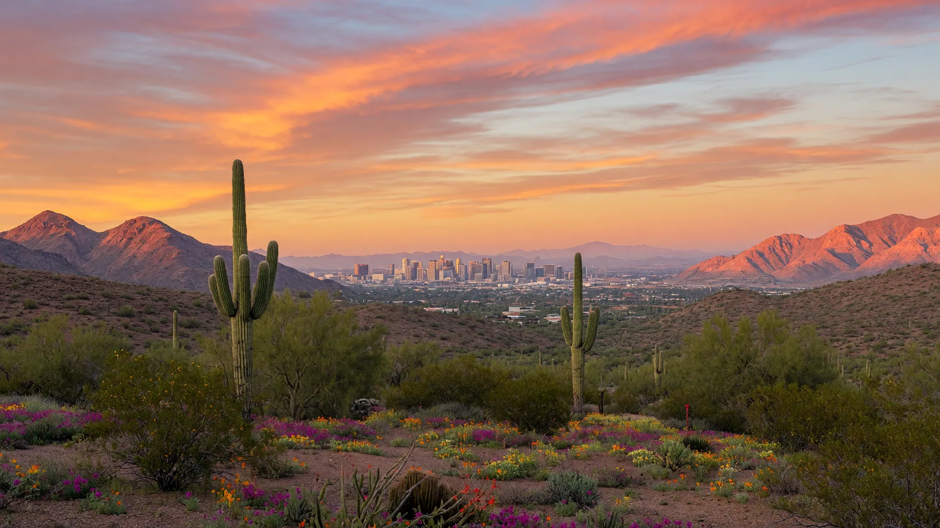 Arizona desert landscape at sunrise with the Phoenix skyline in the distance