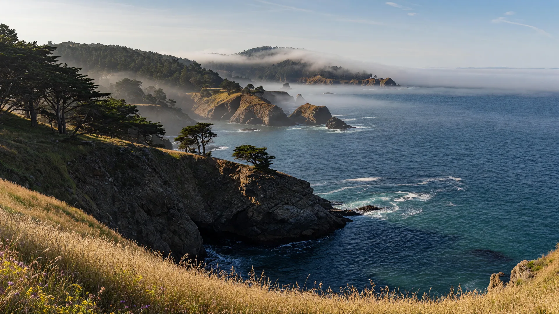San Francisco Pacific coastline with dramatic cliffs, cypress trees, and marine layer fog over the blue ocean