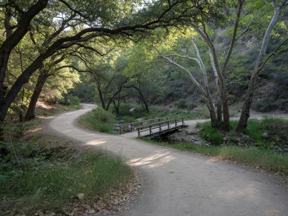An oak-shaded dirt trail winding through Pico Canyon with a small wooden footbridge over the seasonal creek