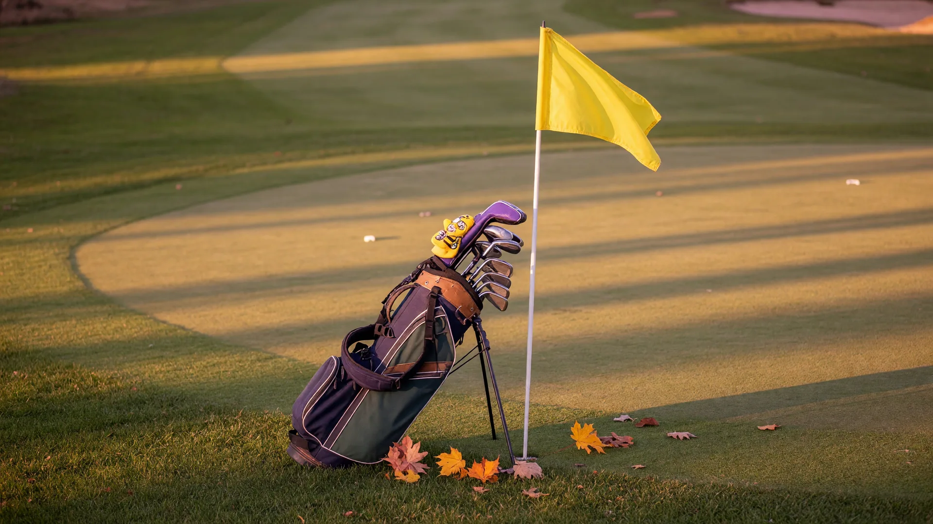 A junior golf bag and clubs leaning against a flagstick on a September fairway at golden hour