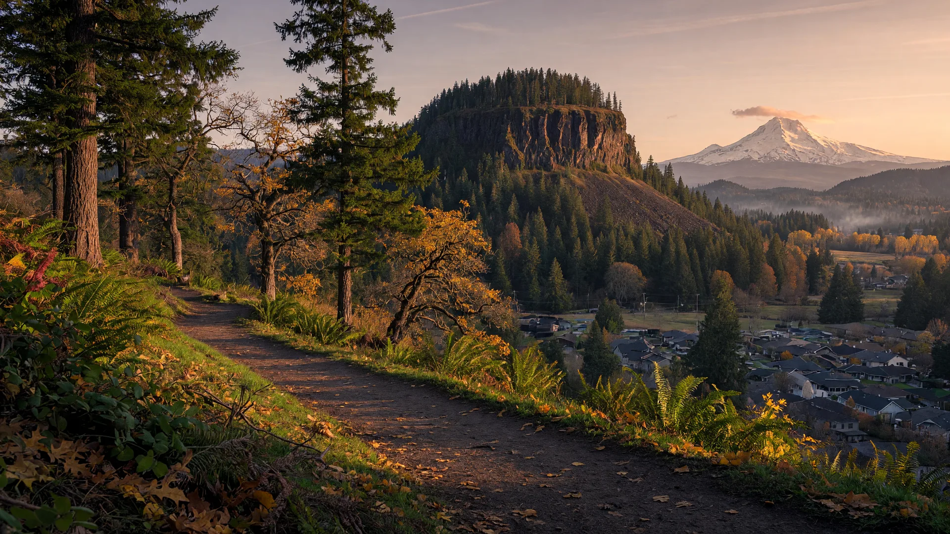 Forested trail on a volcanic butte above the valley at golden hour, Mount Hood visible on the horizon