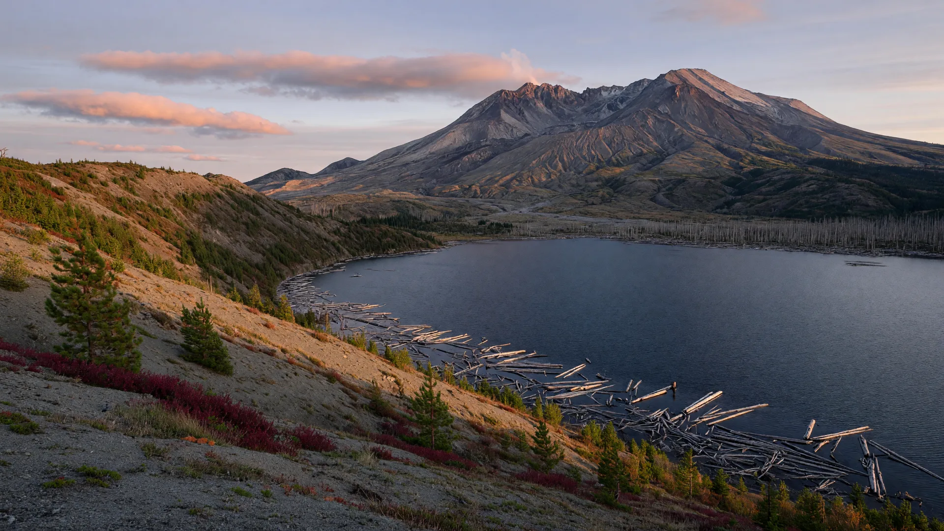 Norway Pass and Windy Ridge: Spirit Lake views from the Randle side