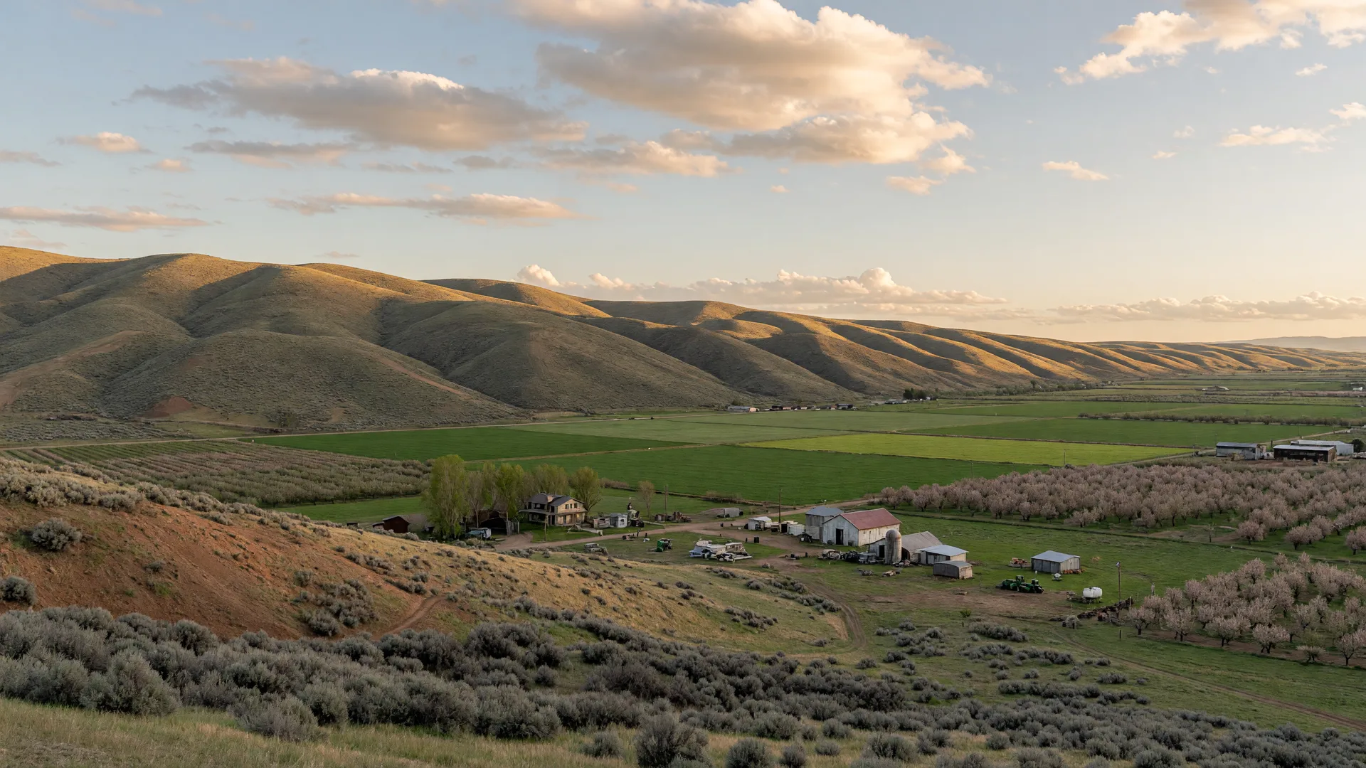 Foothills and farmland of the Treasure Valley, Idaho