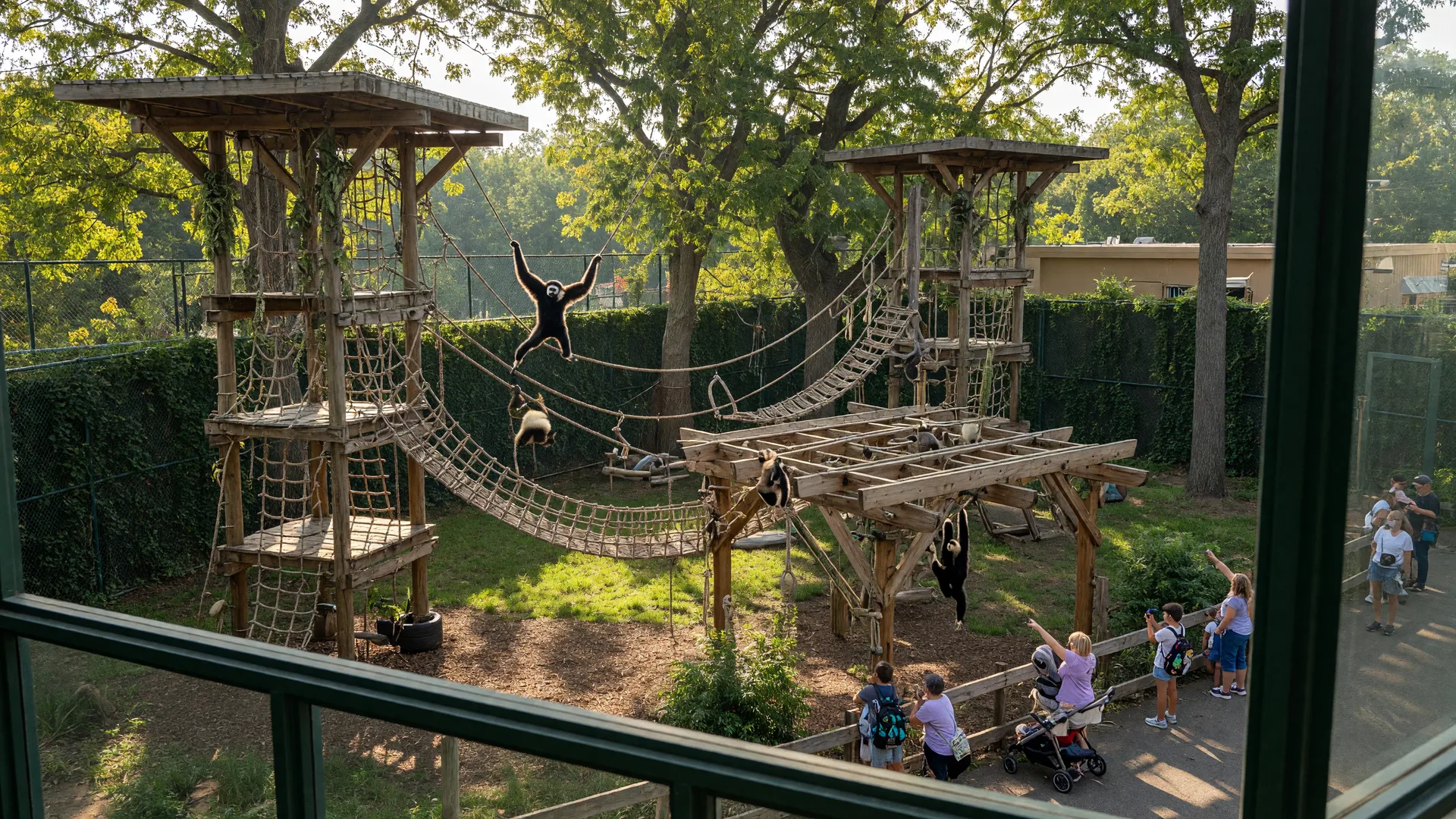 The renovated gibbons exhibit at Turtle Back Zoo with tall wooden climbing towers, rope swings, pergolas, and broad viewing windows in late-summer light
