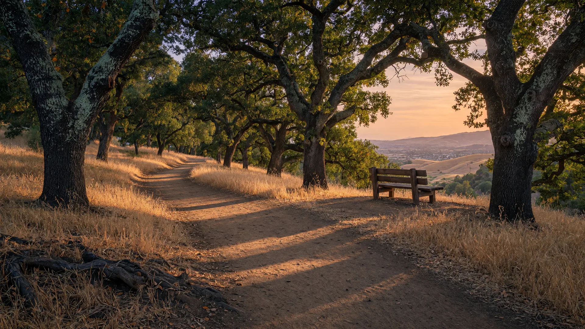 A golden-hour singletrack trail winding through oak woodlands in Placerita Canyon near Santa Clarita