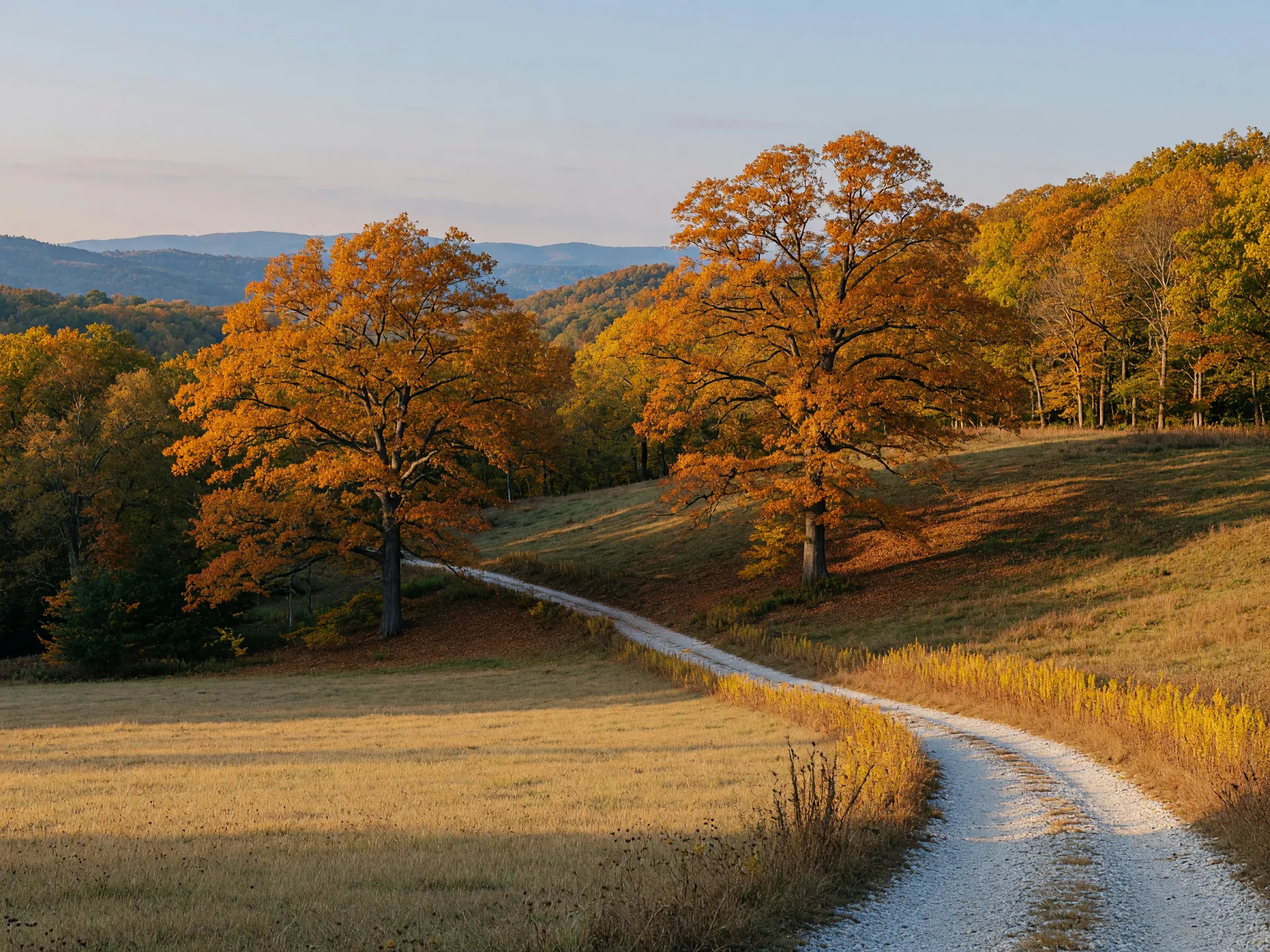 Fall view of North Georgia wooded acreage with golden hillsides beside an open pasture