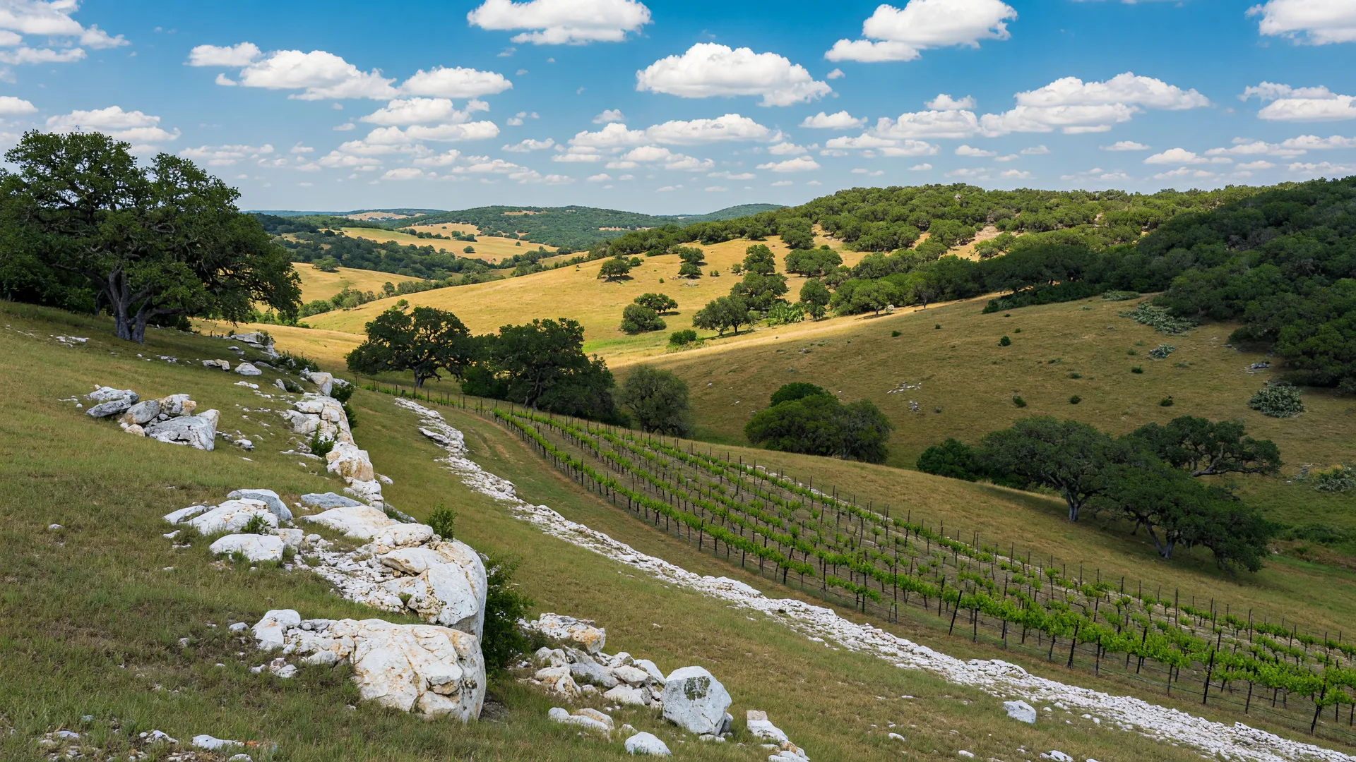 Rolling Hill Country hills with live oaks, limestone outcroppings, and a vineyard near Dripping Springs Texas