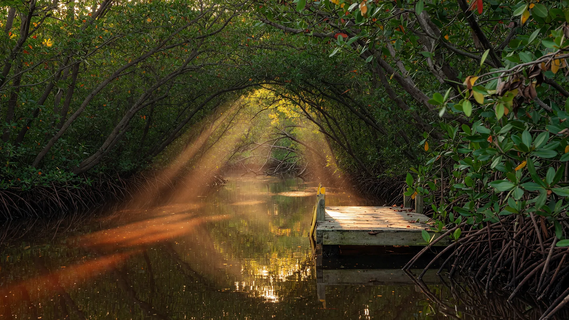 Late Summer Hidden Gems on the Gulf Coast: Local Favorites for September 2026