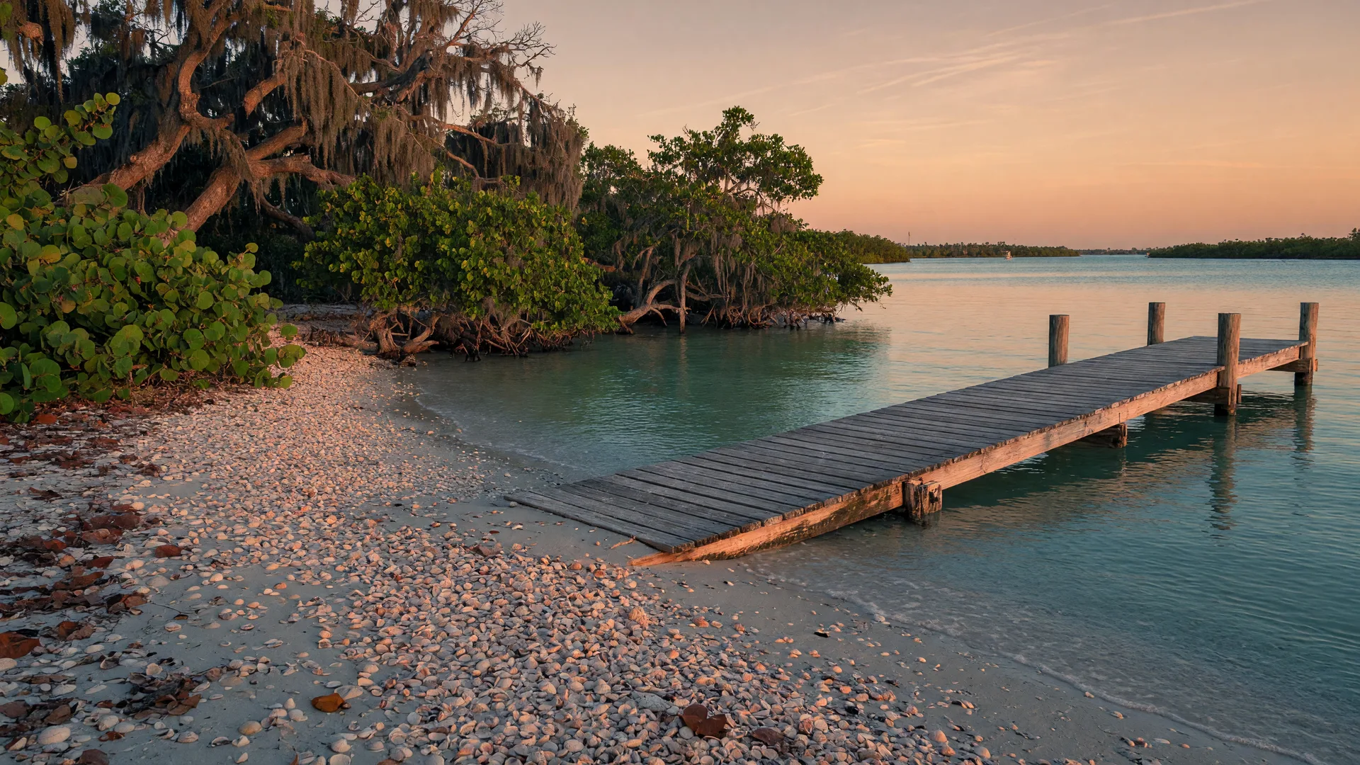Hidden Gems of Early Fall: Waterfront Favorites and Day Trips from Sarasota and Venice
