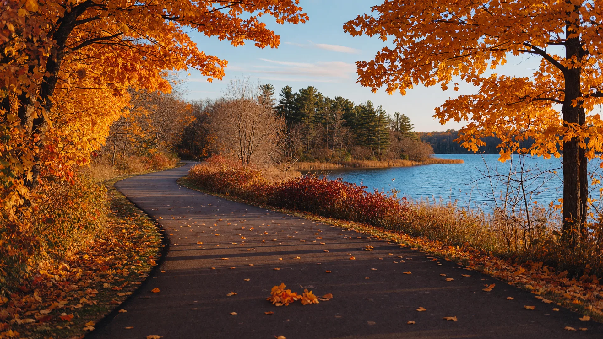 A paved rail-trail winding through golden fall foliage near a Minnesota lake, with a glimpse of blue water and pine shoreline ahead