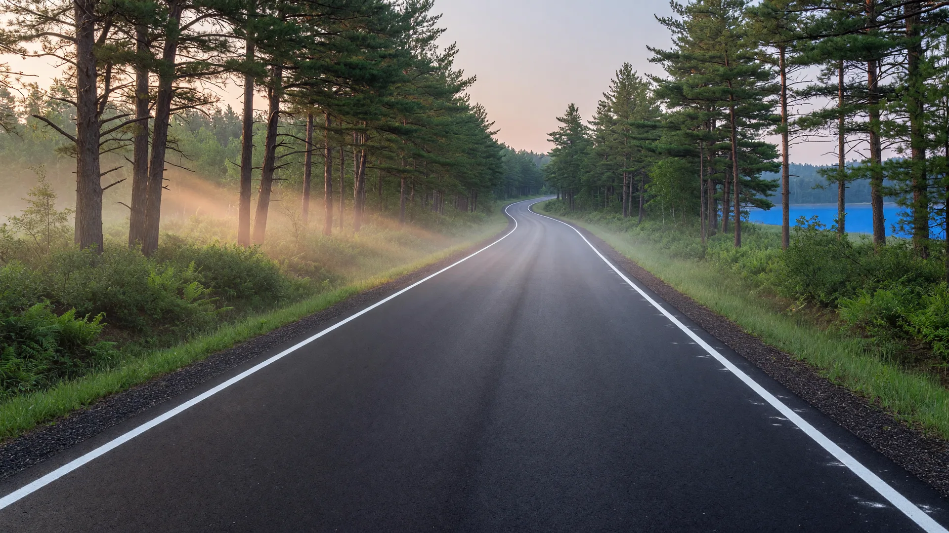 A freshly paved country road curving through pine forest toward a lake in Breezy Point, Minnesota