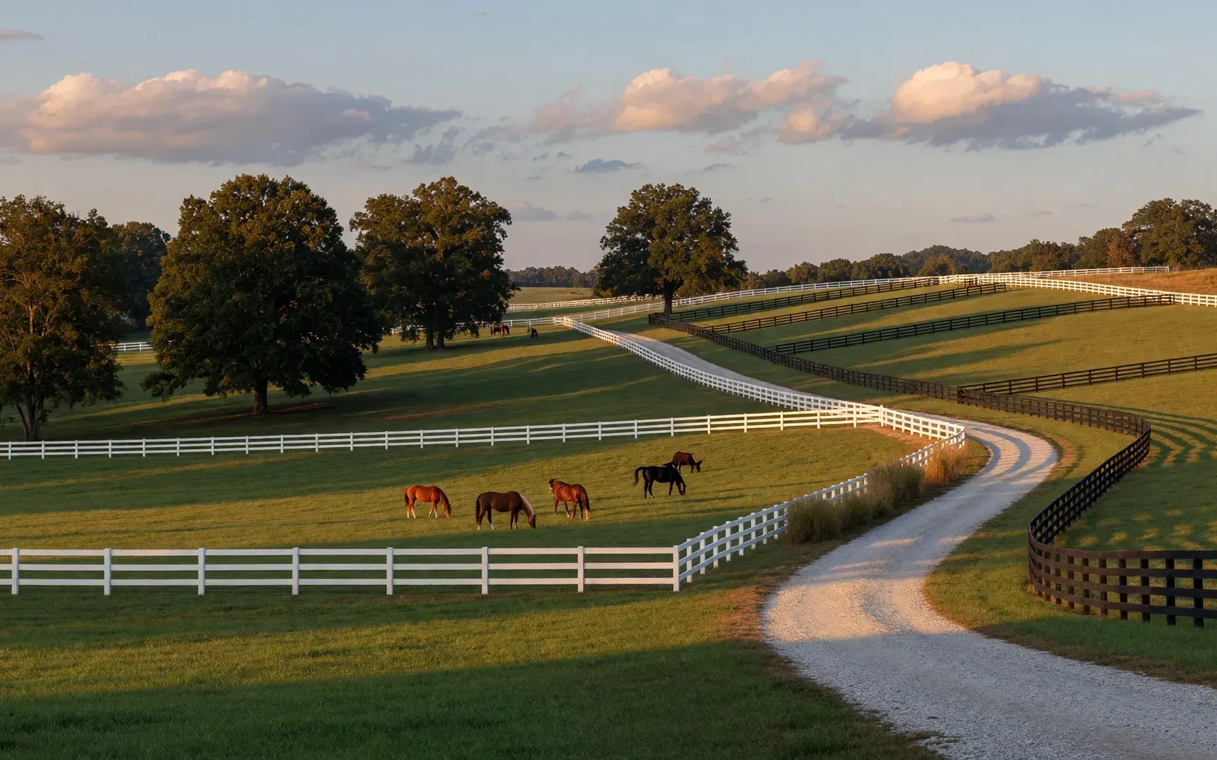 Rolling horse-country pastures and plank fencing near Leiper's Fork, Tennessee