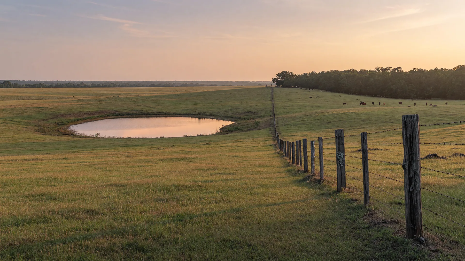 Rolling Northeast Texas pastureland with a fence line and pond in late afternoon light