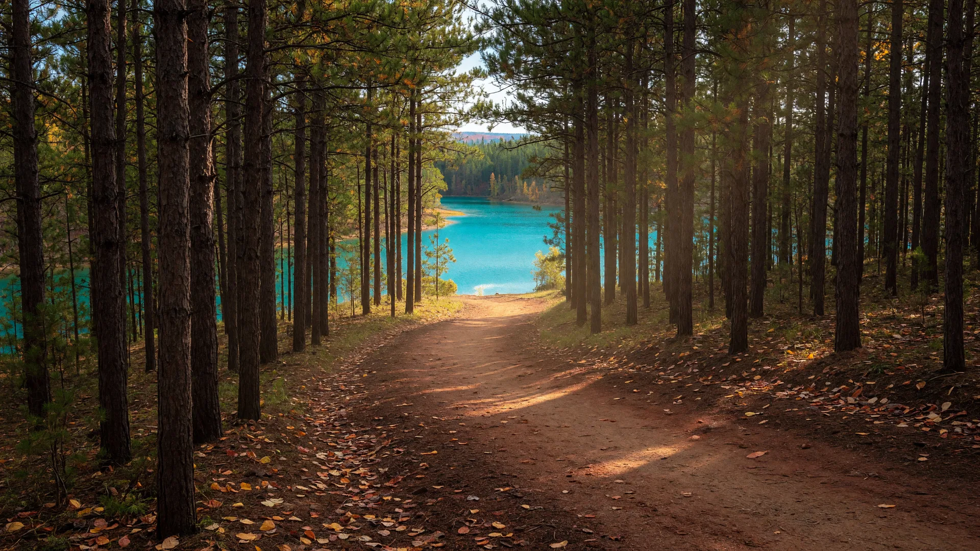 Empty red-gold singletrack mountain bike trail winding between tall pines toward a vivid blue mine lake in Cuyuna country