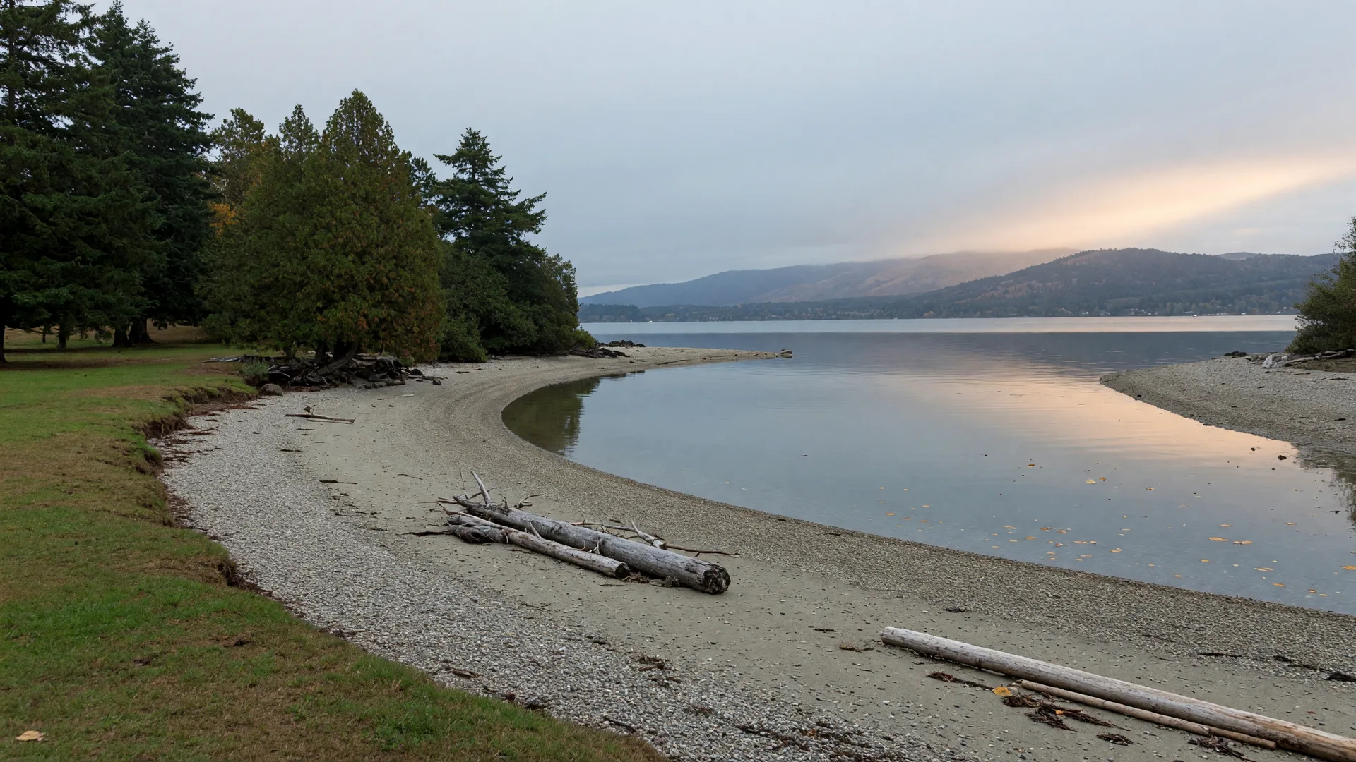 Can I Take My Dog to Cadboro Bay Beach in Saanich?