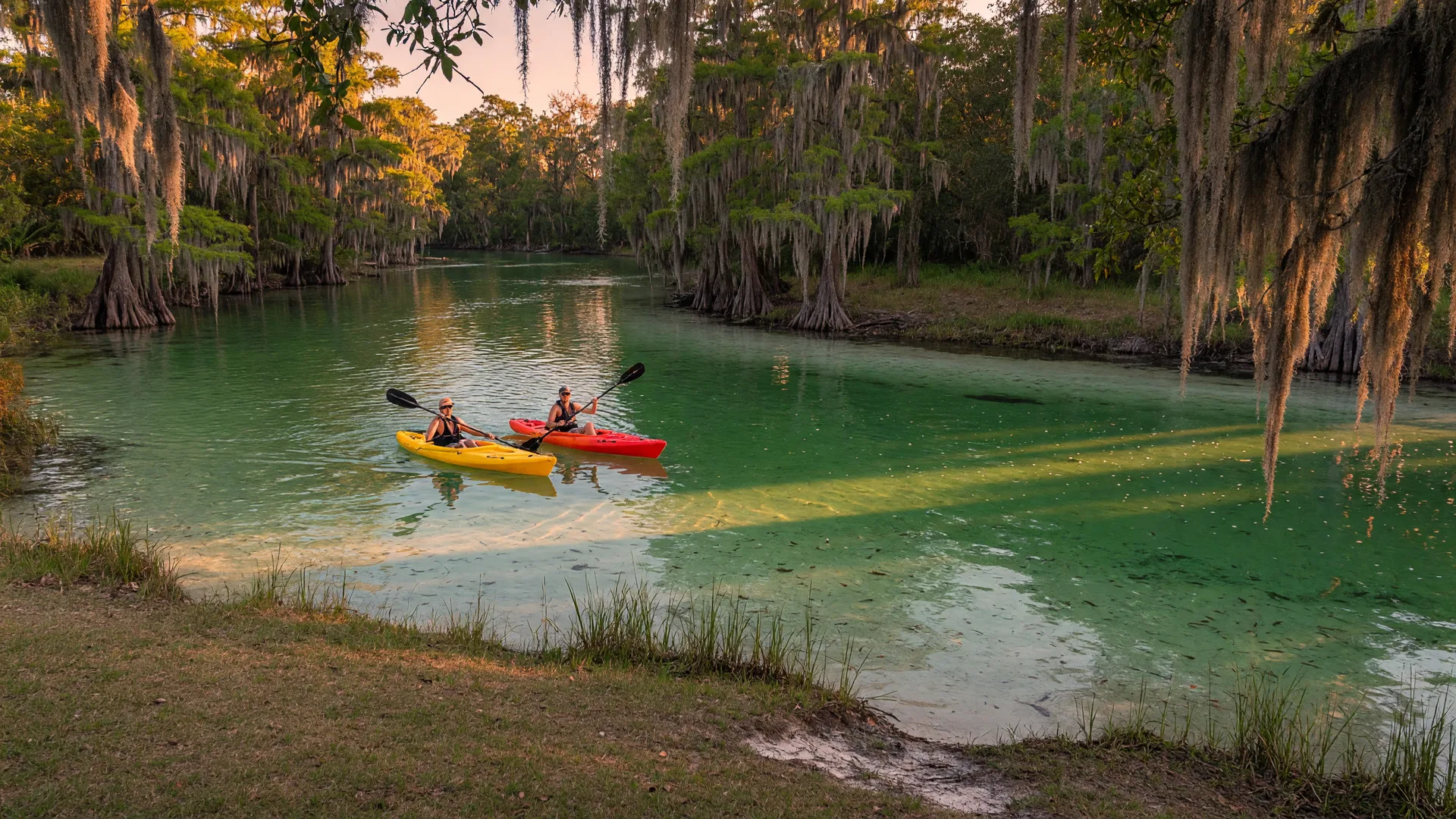 Kayakers gliding down the crystal-clear emerald Weeki Wachee River in Spring Hill, Florida at golden hour, cypress trees and Spanish moss overhanging the banks