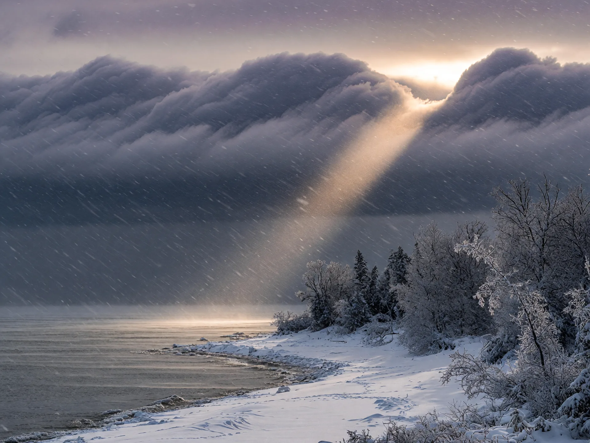 A lake-effect snow squall rolling off a Great Lakes shoreline with dark clouds, blowing snow, and frost-rimed trees